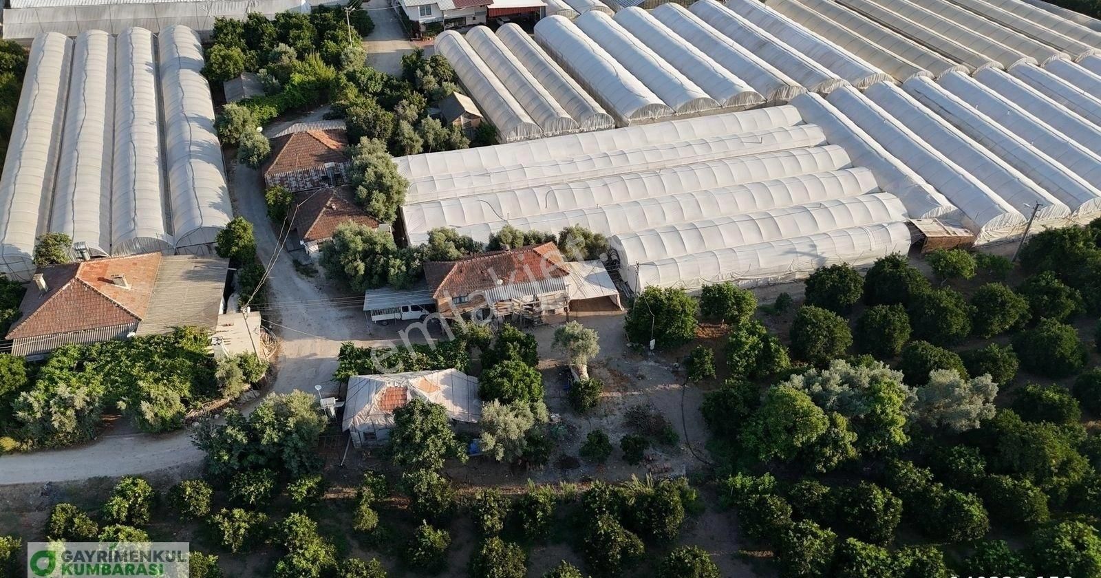 Antalya Kumluca Kavak Mah. Sera Ve 2 Ev - Görsel 21