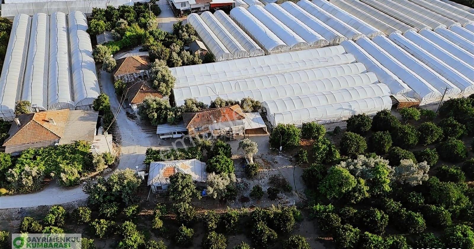 Antalya Kumluca Kavak Mah. Sera Ve 2 Ev - Görsel 17