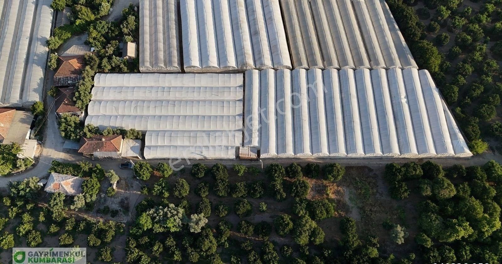Antalya Kumluca Kavak Mah. Sera Ve 2 Ev - Görsel 11