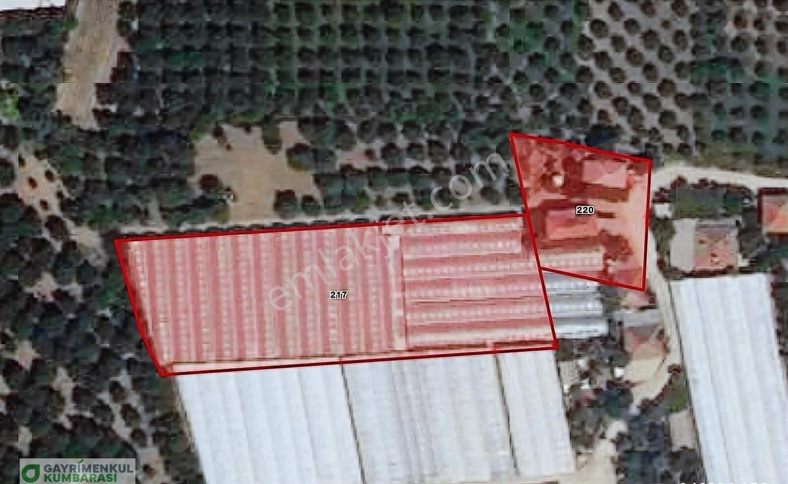 Antalya Kumluca Kavak Mah. Sera Ve 2 Ev - Görsel 15