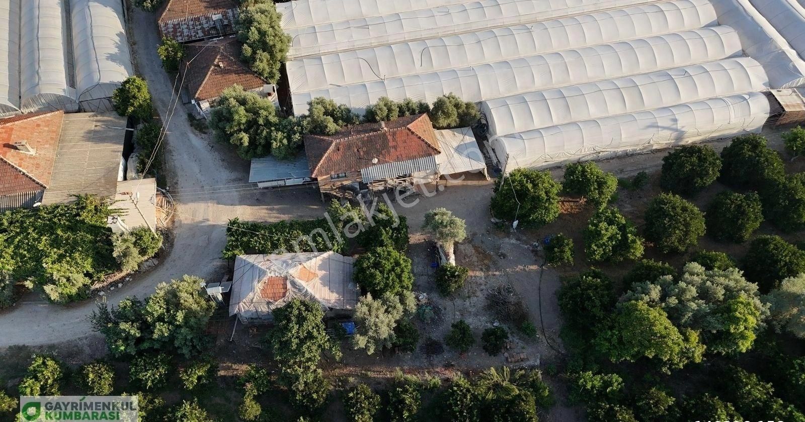 Antalya Kumluca Kavak Mah. Sera Ve 2 Ev - Görsel 14