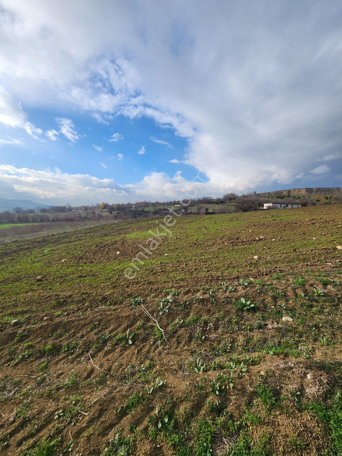 Karabük Safranbolu 15 Temmuz Mahallesinde Yatırımlık Tarla, - Görsel 5