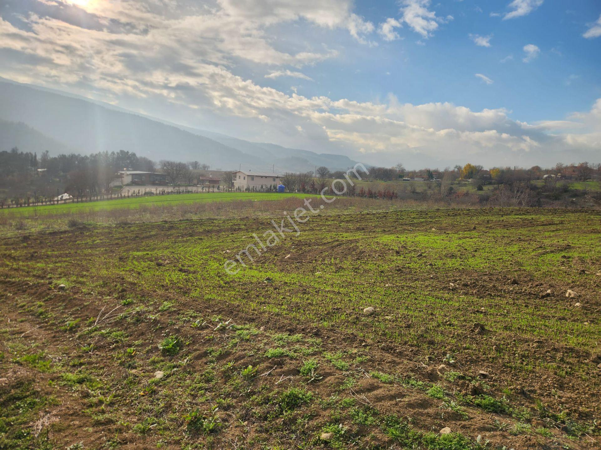 Karabük Safranbolu 15 Temmuz Mahallesinde Yatırımlık Tarla, - Görsel 4