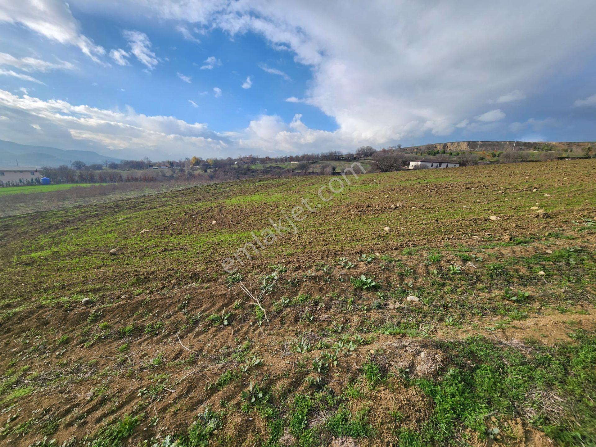 Karabük Safranbolu 15 Temmuz Mahallesinde Yatırımlık Tarla, - Görsel 8