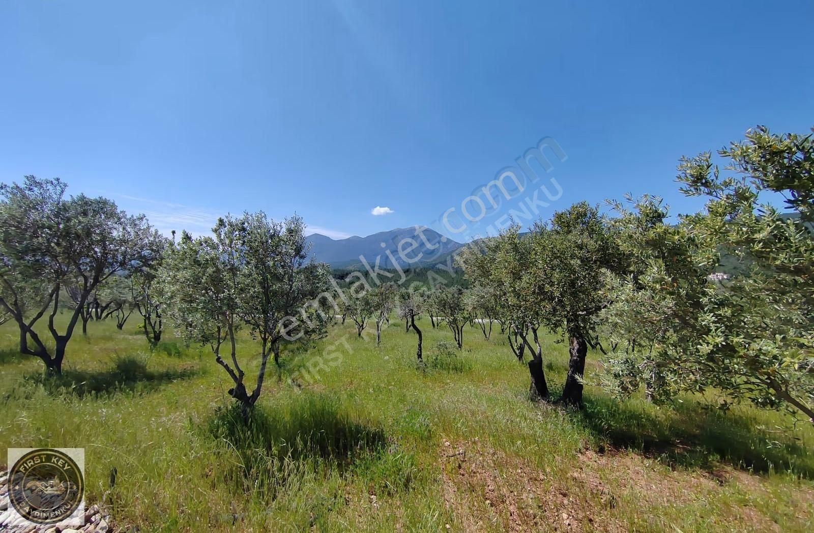 Kemalpaşa, Dereköy'de Numaratajlı, Elektrik, Su Olan Fırsat Arsa - Görsel 4