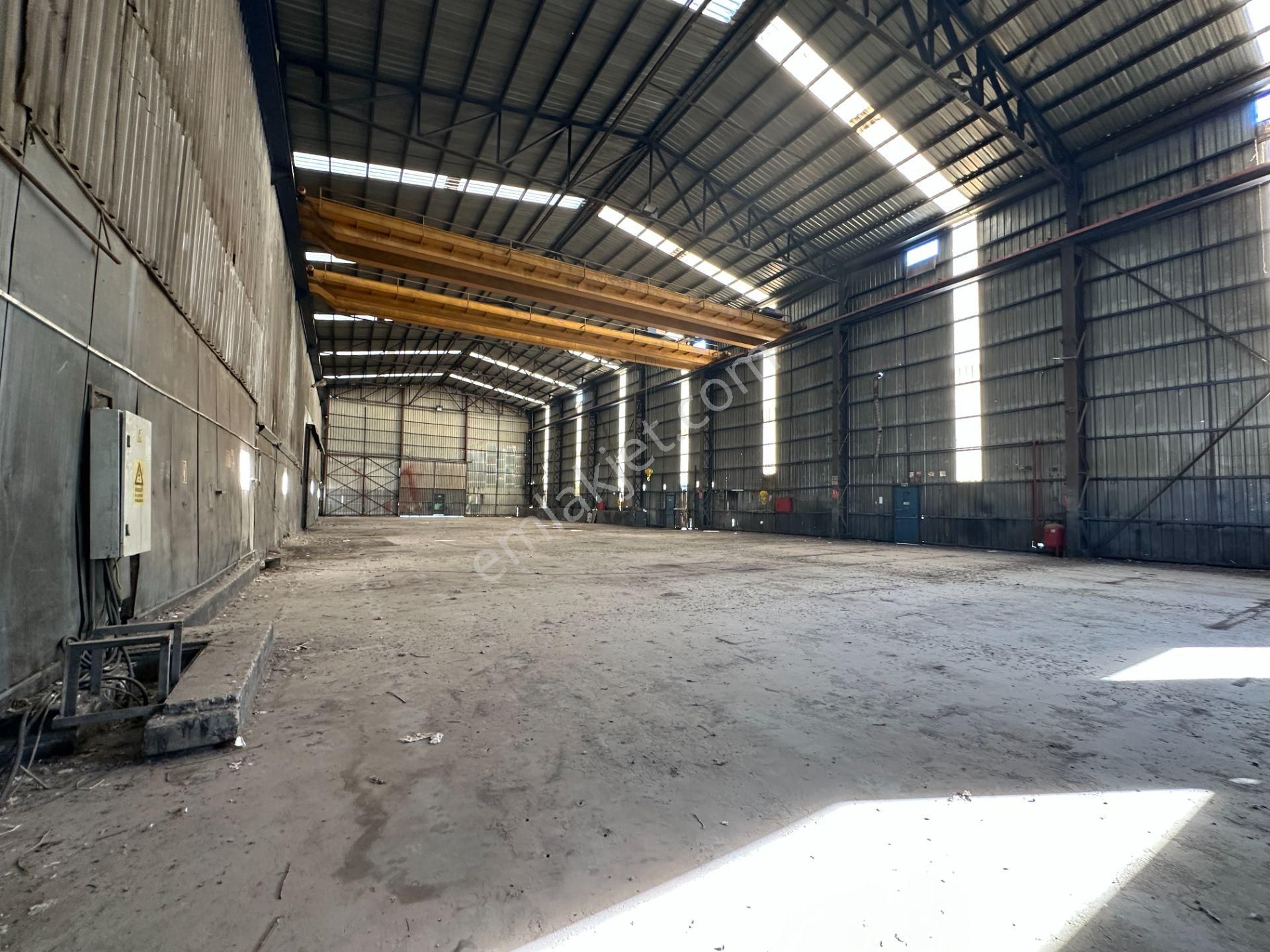 Dilovası Kobi Osb 10700 M2 Kdv Avantajlı 4 Bölüm Kiralık Fabrika - Görsel 10