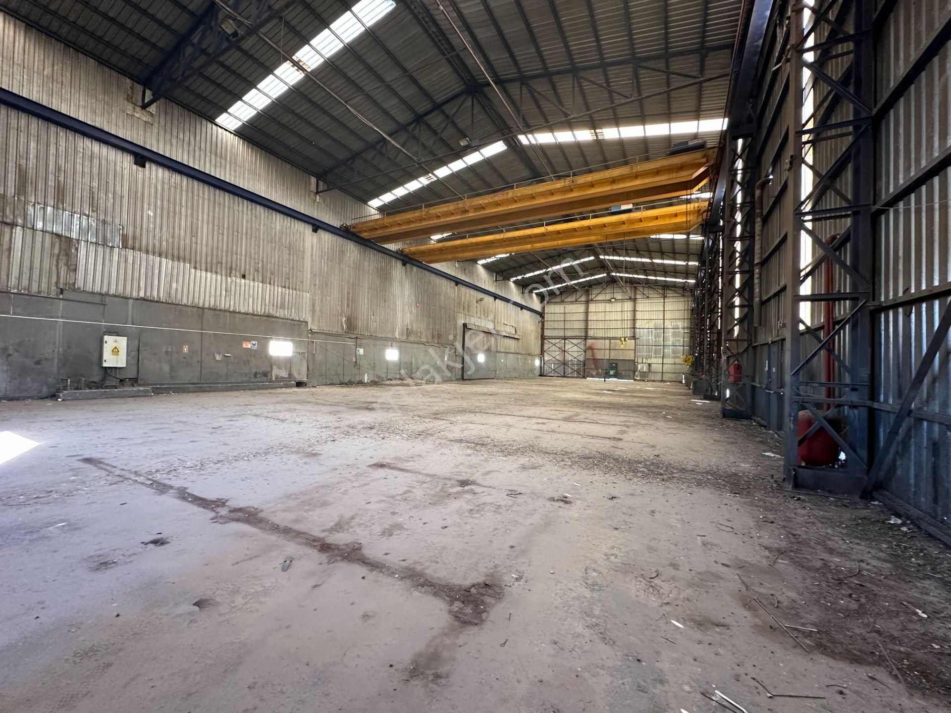 Dilovası Kobi Osb 10700 M2 Kdv Avantajlı 4 Bölüm Kiralık Fabrika - Görsel 9