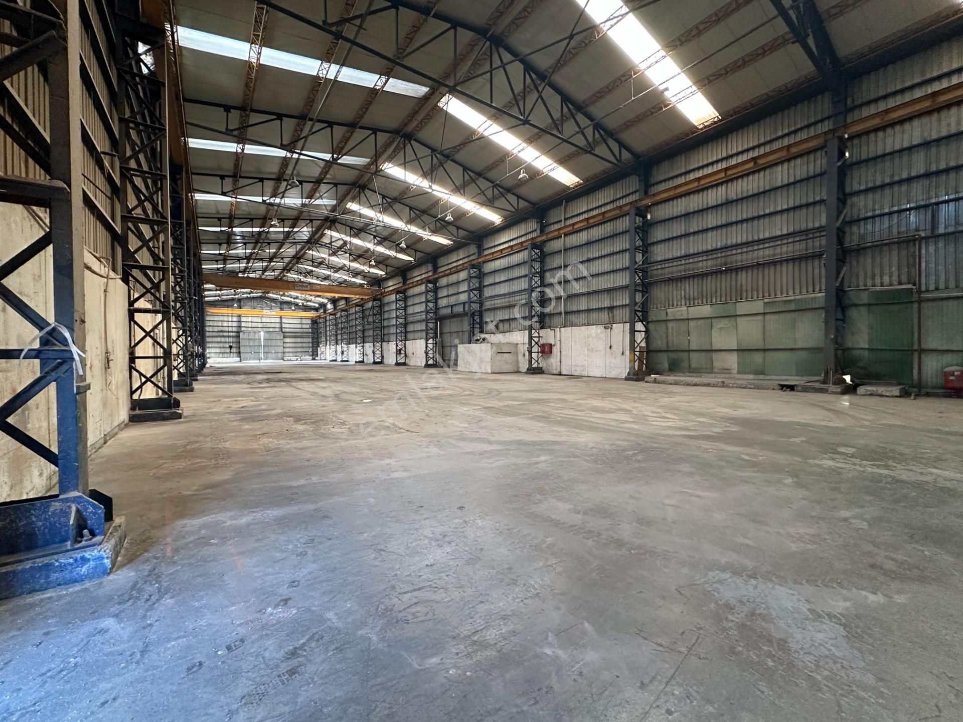 Dilovası Kobi Osb 10700 M2 Kdv Avantajlı 4 Bölüm Kiralık Fabrika - Görsel 6