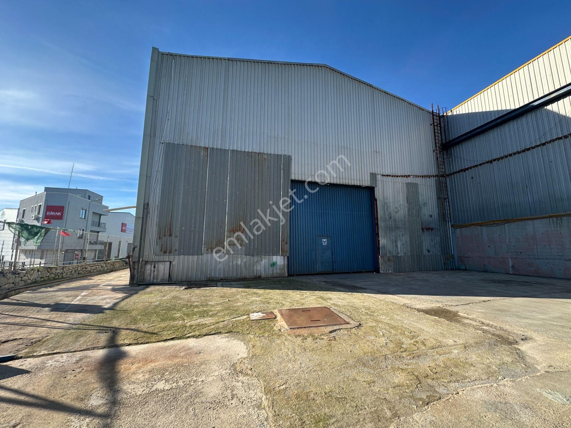 Dilovası Kobi Osb 10700 M2 Kdv Avantajlı 4 Bölüm Kiralık Fabrika - Görsel 8