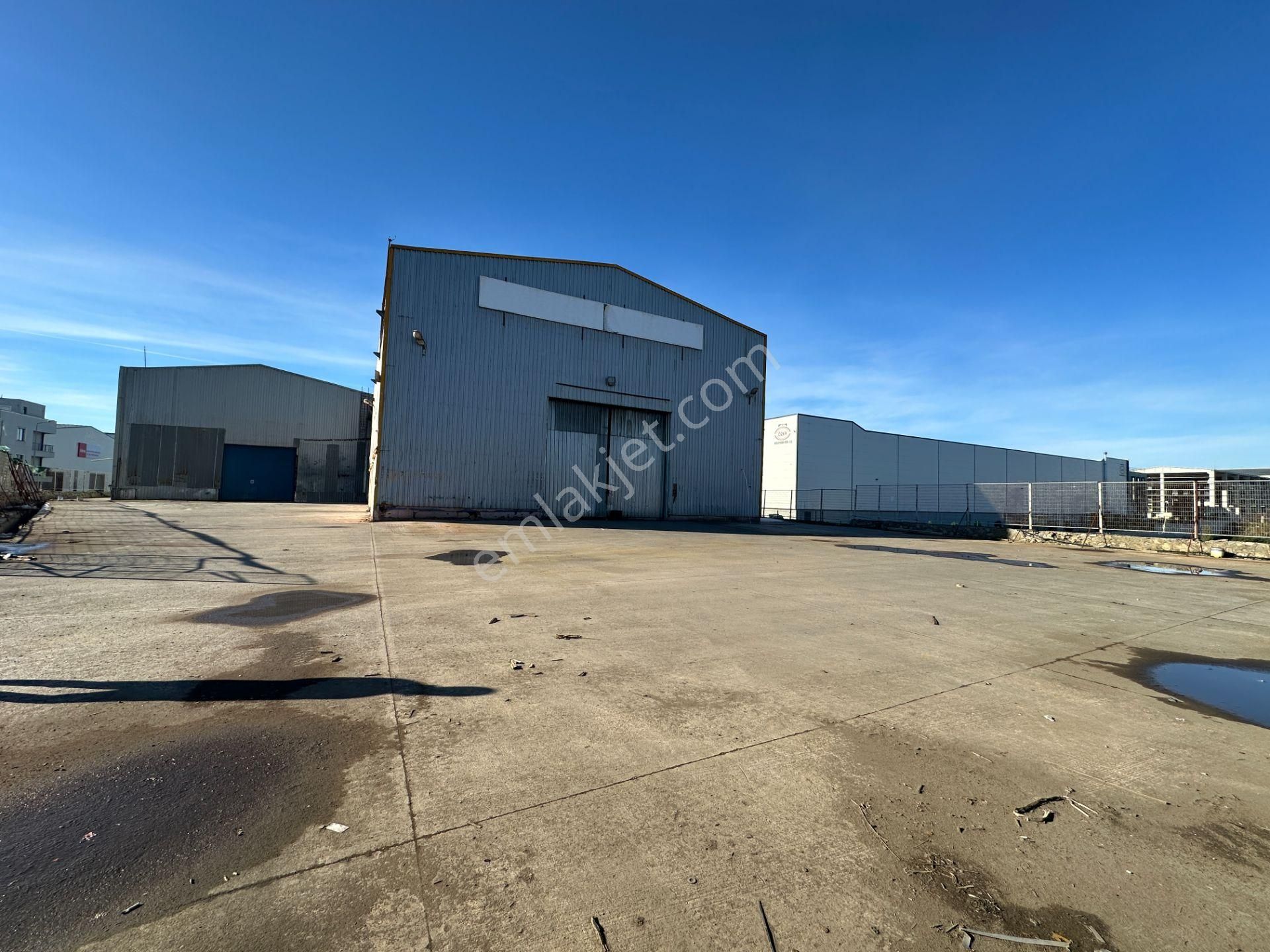 Dilovası Kobi Osb 10700 M2 Kdv Avantajlı 4 Bölüm Kiralık Fabrika - Görsel 3