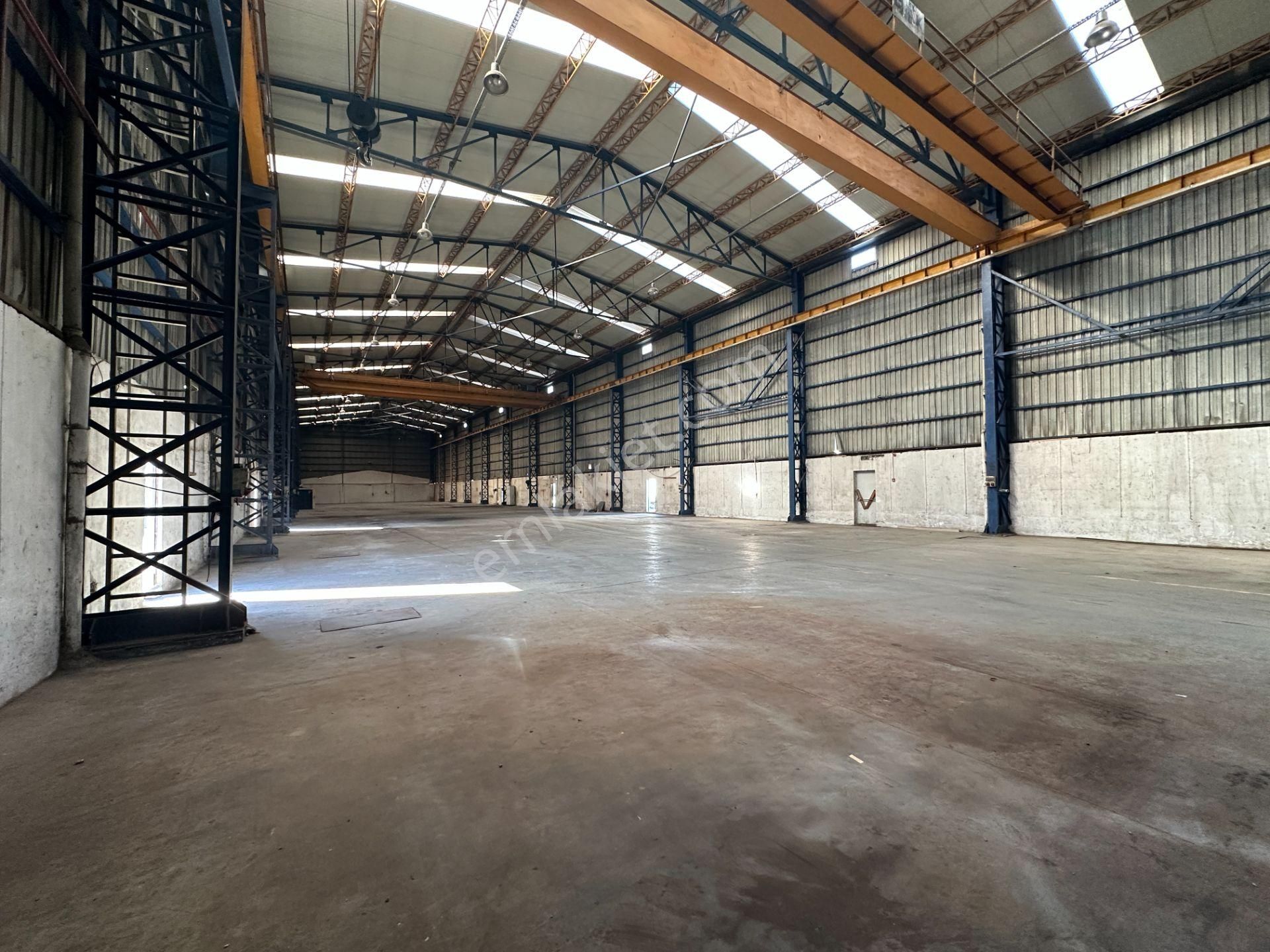 Dilovası Kobi Osb 10700 M2 Kdv Avantajlı 4 Bölüm Kiralık Fabrika - Görsel 4