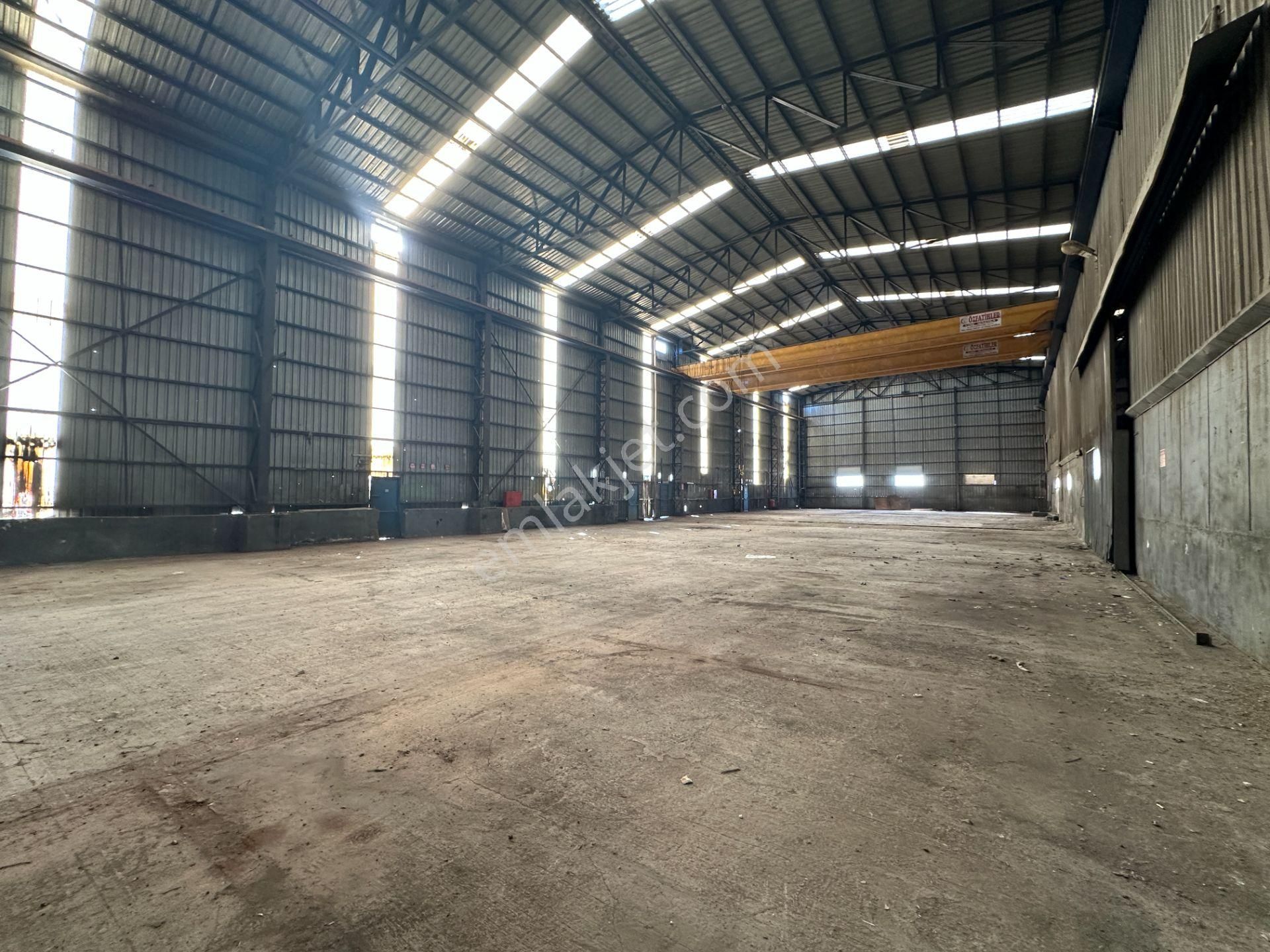 Dilovası Kobi Osb 10700 M2 Kdv Avantajlı 4 Bölüm Kiralık Fabrika - Görsel 11