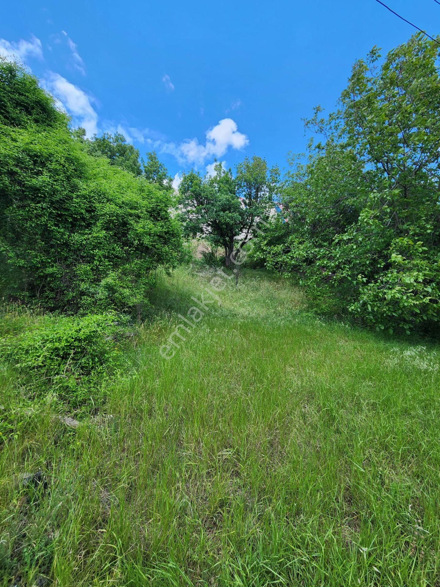 Karabük Kurtuluş Mahallesinde Satılık 232 M² 0.40 / 1,20 İmarlı Arsa, - Görsel 10