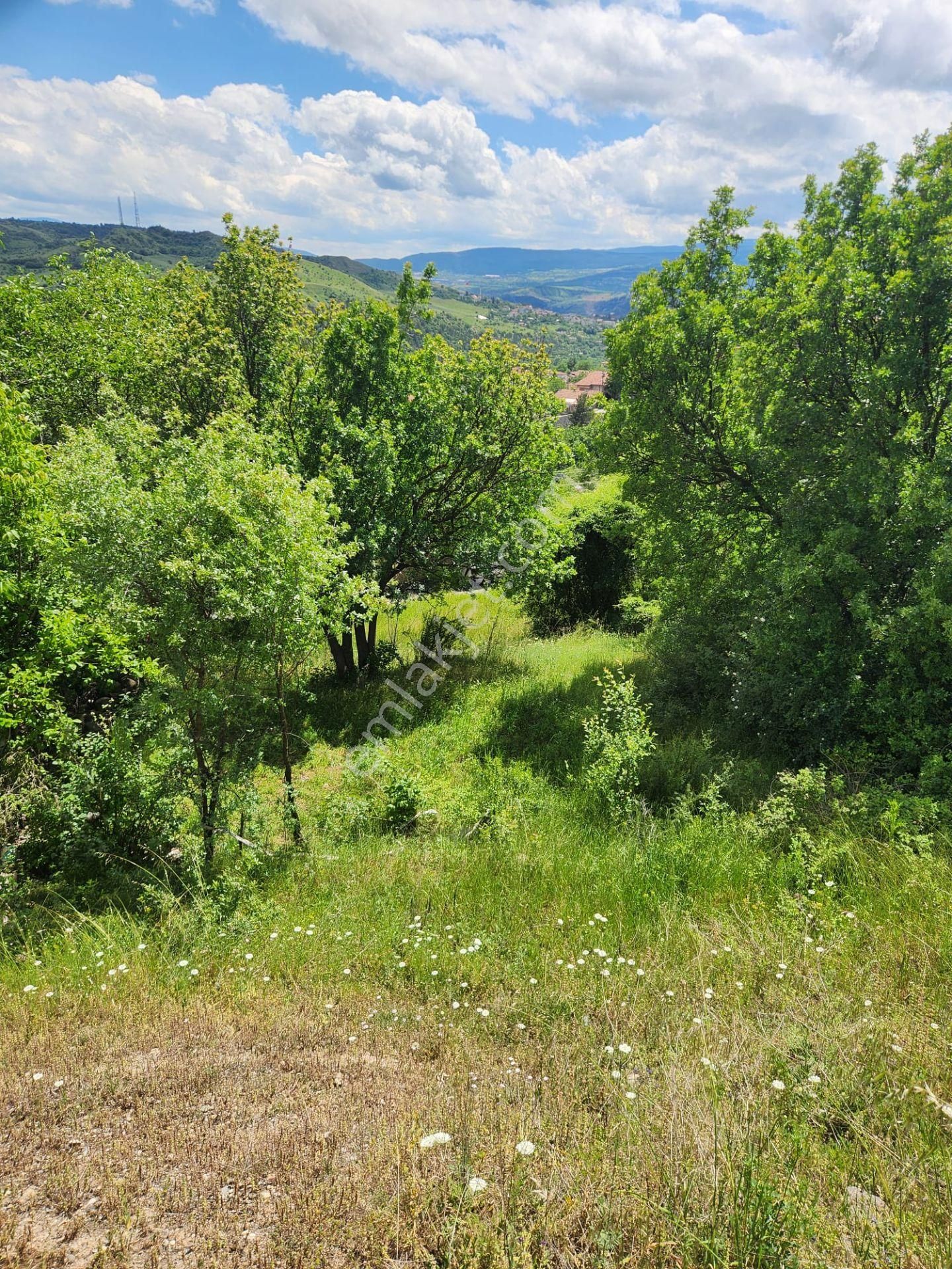 Karabük Kurtuluş Mahallesinde Satılık 232 M² 0.40 / 1,20 İmarlı Arsa, - Görsel 6