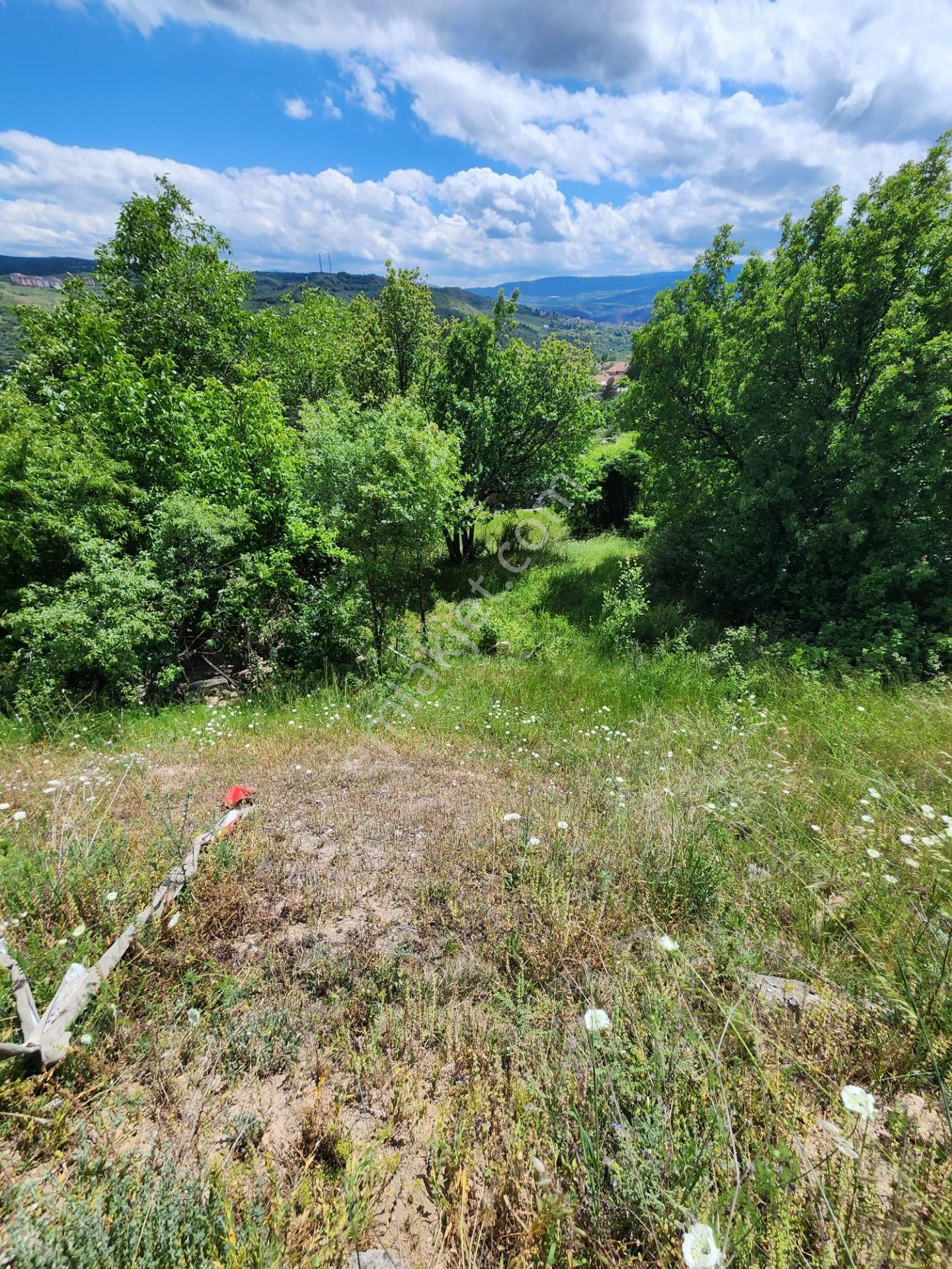 Karabük Kurtuluş Mahallesinde Satılık 232 M² 0.40 / 1,20 İmarlı Arsa, - Görsel 3