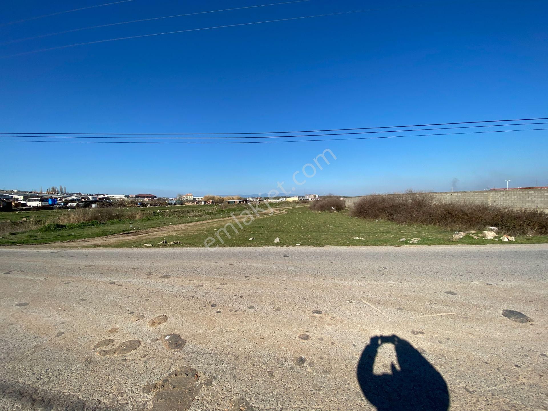 Balıkesir Ayvalık Ta Satılık 46.000 Metre Kare Arsa. - Görsel 4