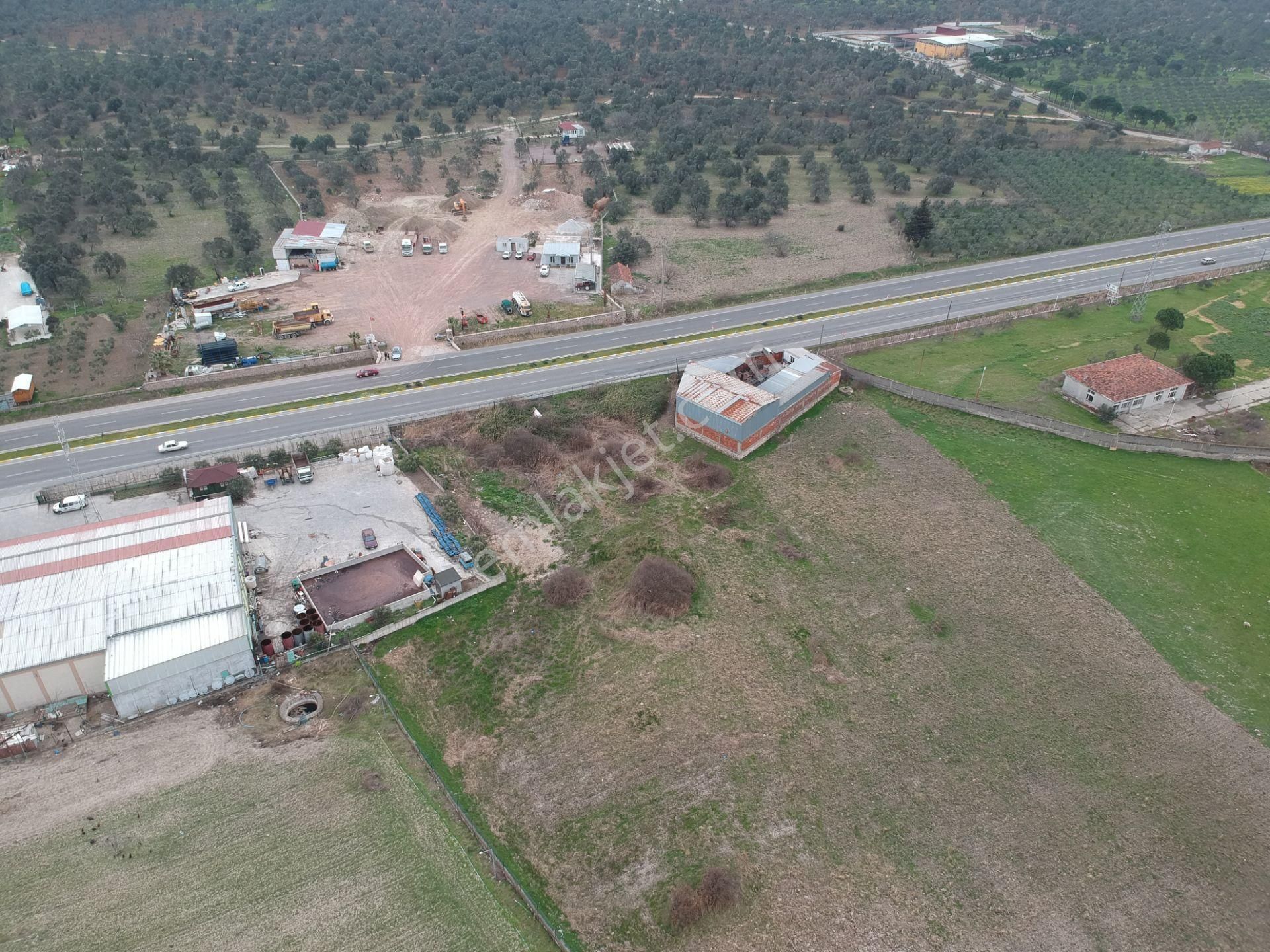 Balıkesir Ayvalık Ta Satılık 46.000 Metre Kare Arsa.