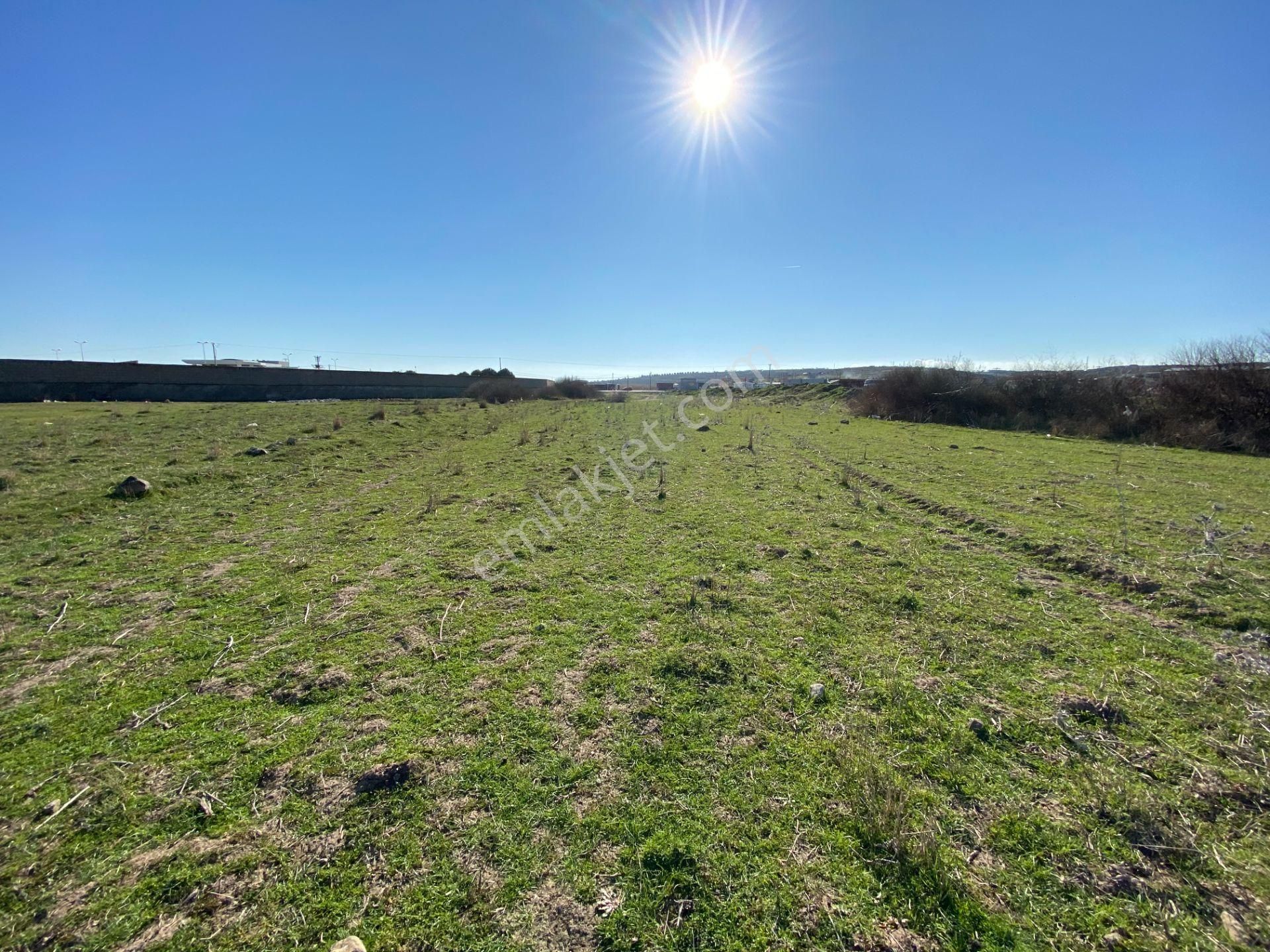 Balıkesir Ayvalık Ta Satılık 46.000 Metre Kare Arsa. - Görsel 2