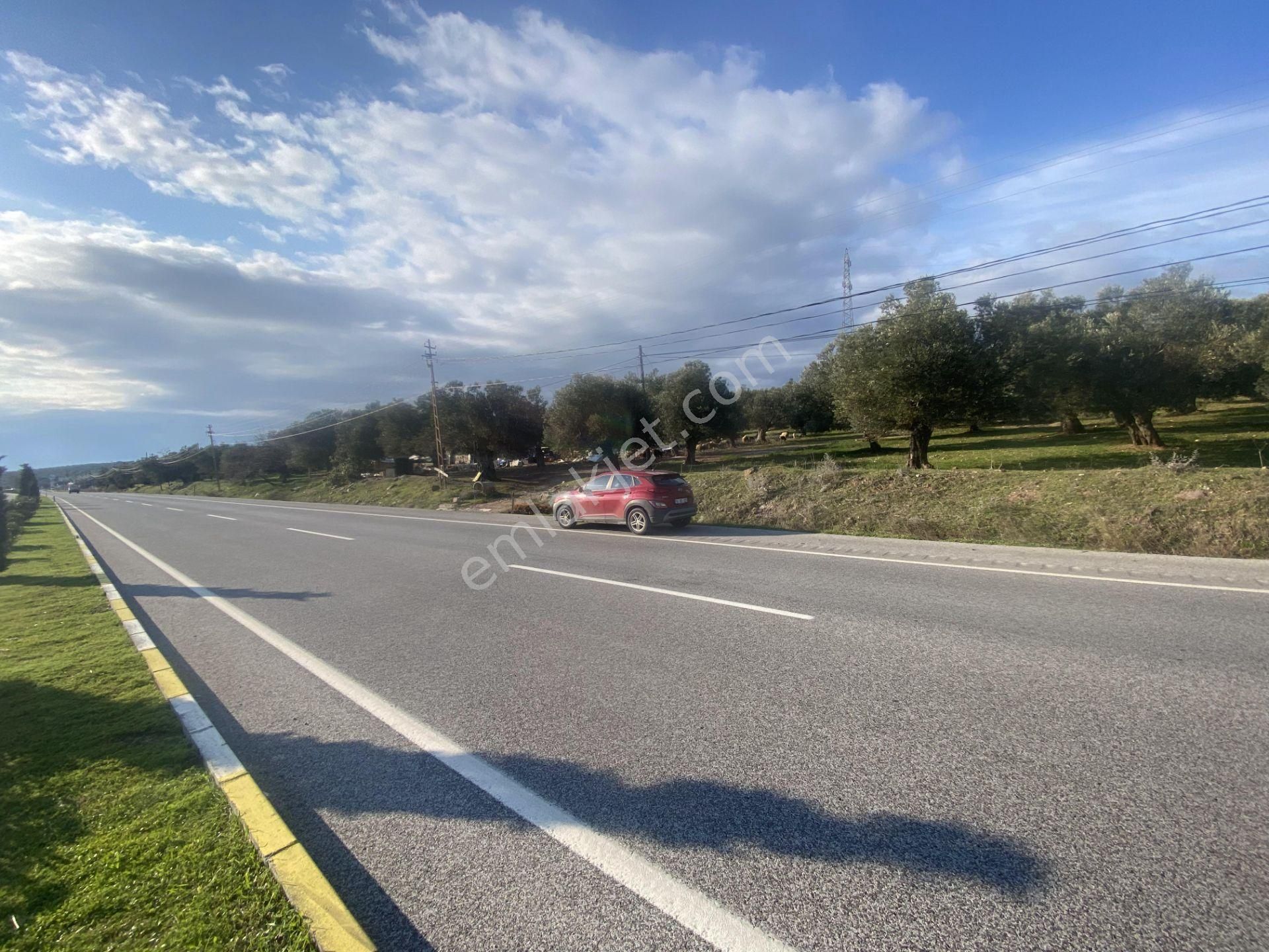 Ayvalık Ta Satılık 30,252 Metre Kare Arsa.ana Yola Cepheli - Görsel 10