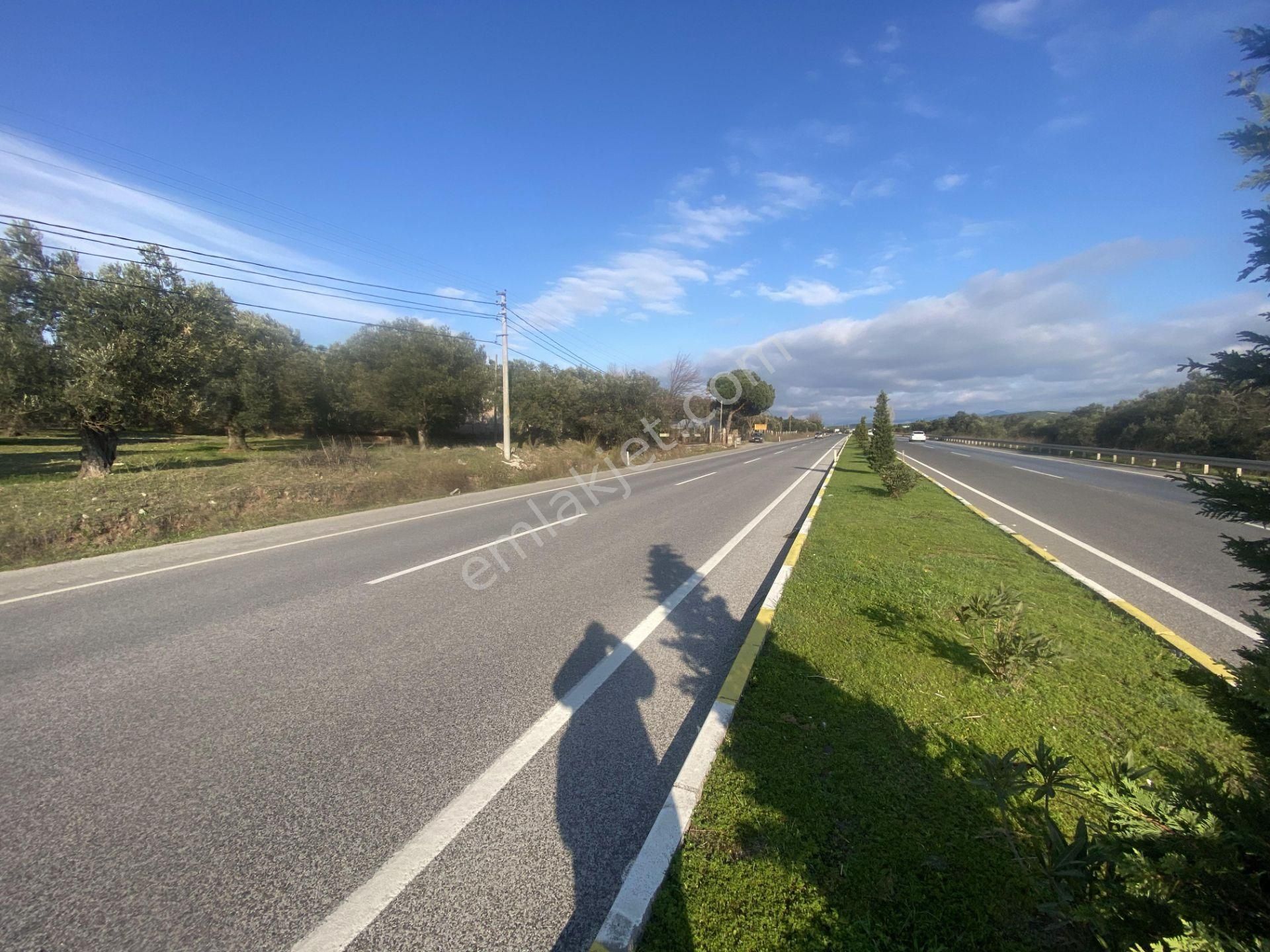 Ayvalık Ta Satılık 30,252 Metre Kare Arsa.ana Yola Cepheli - Görsel 3