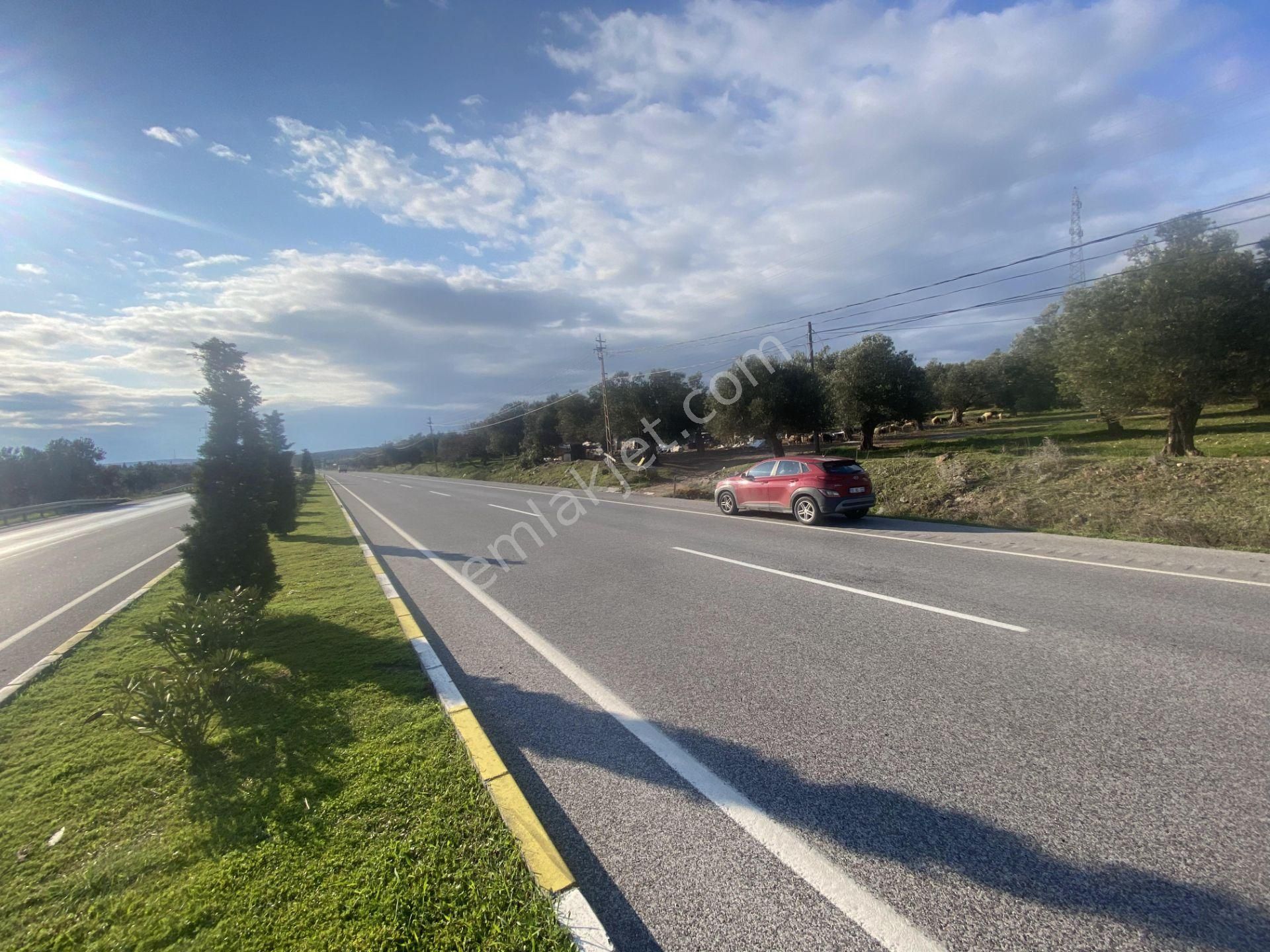 Ayvalık Ta Satılık 30,252 Metre Kare Arsa.ana Yola Cepheli - Görsel 7