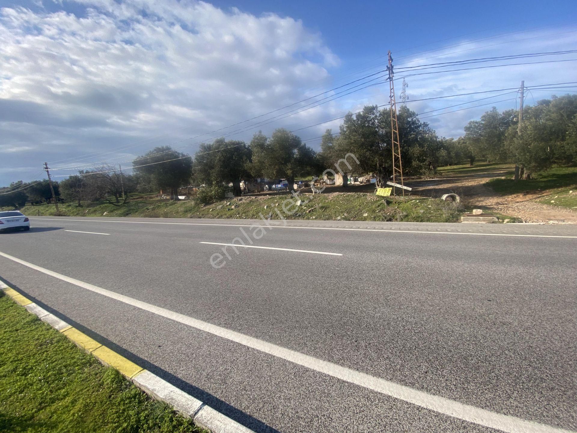 Ayvalık Ta Satılık 30,252 Metre Kare Arsa.ana Yola Cepheli - Görsel 8