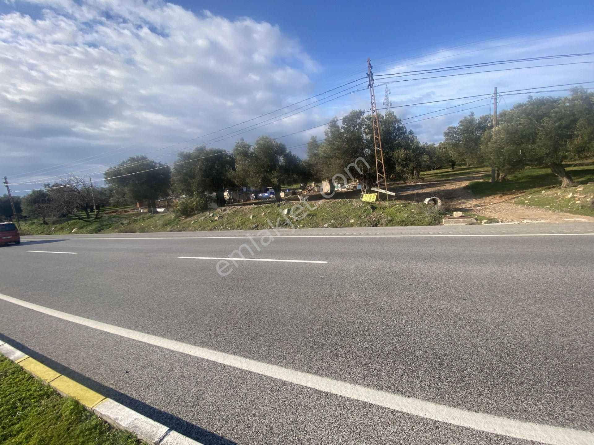 Ayvalık Ta Satılık 30,252 Metre Kare Arsa.ana Yola Cepheli - Görsel 11