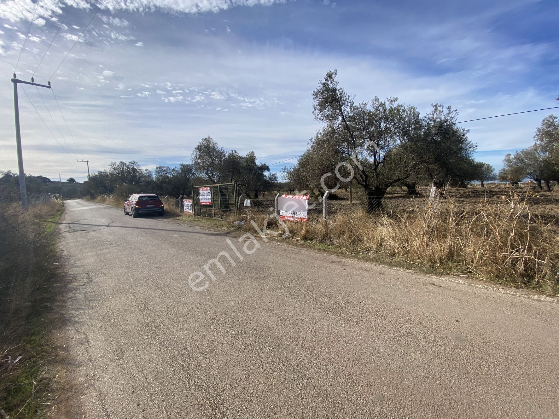 Ayvalık Sakarya Da Satılık 18 Donum Zeytinlik.yola Cepheli. - Görsel 4