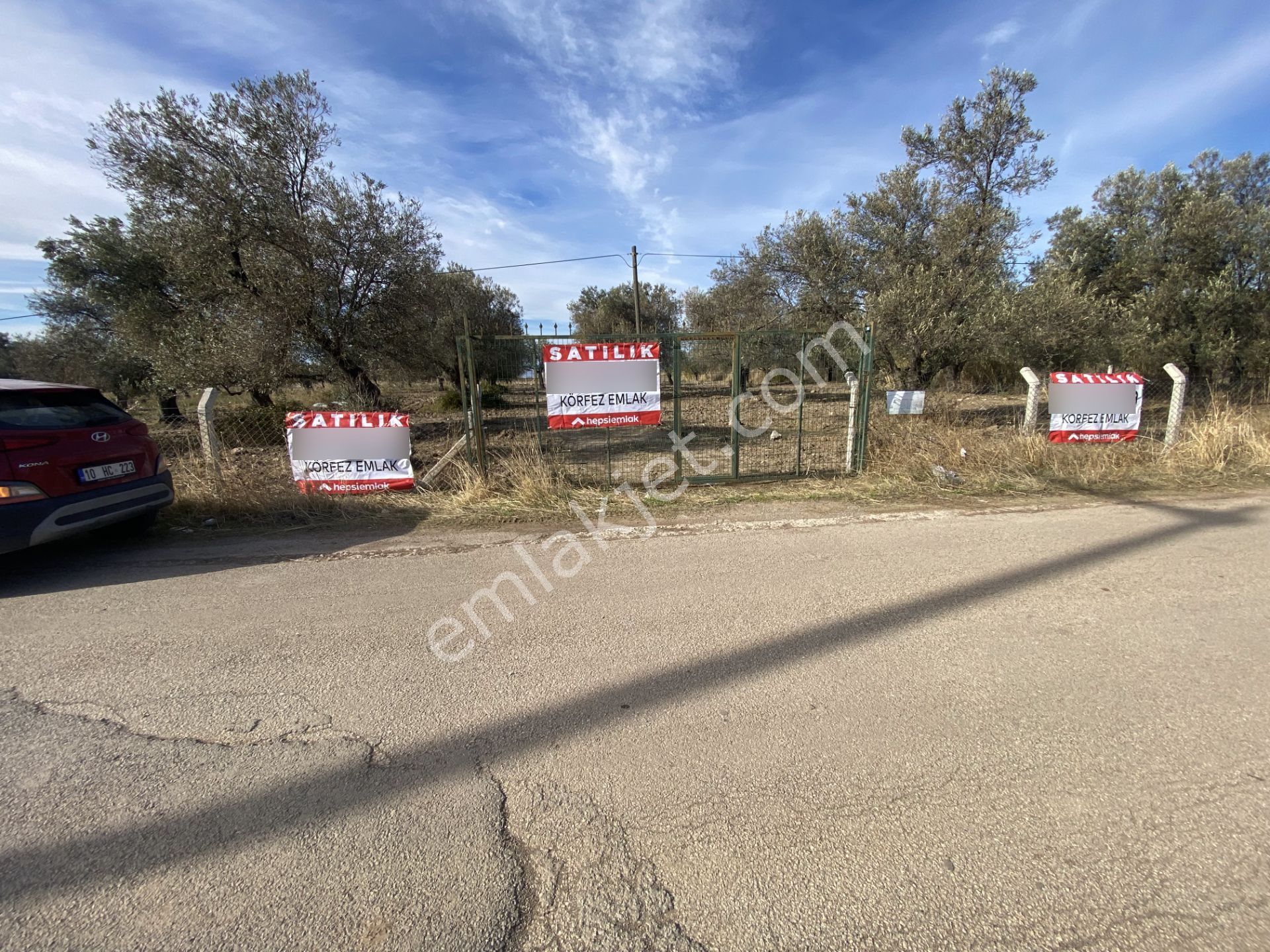 Ayvalık Sakarya Da Satılık 18 Donum Zeytinlik.yola Cepheli. - Görsel 10