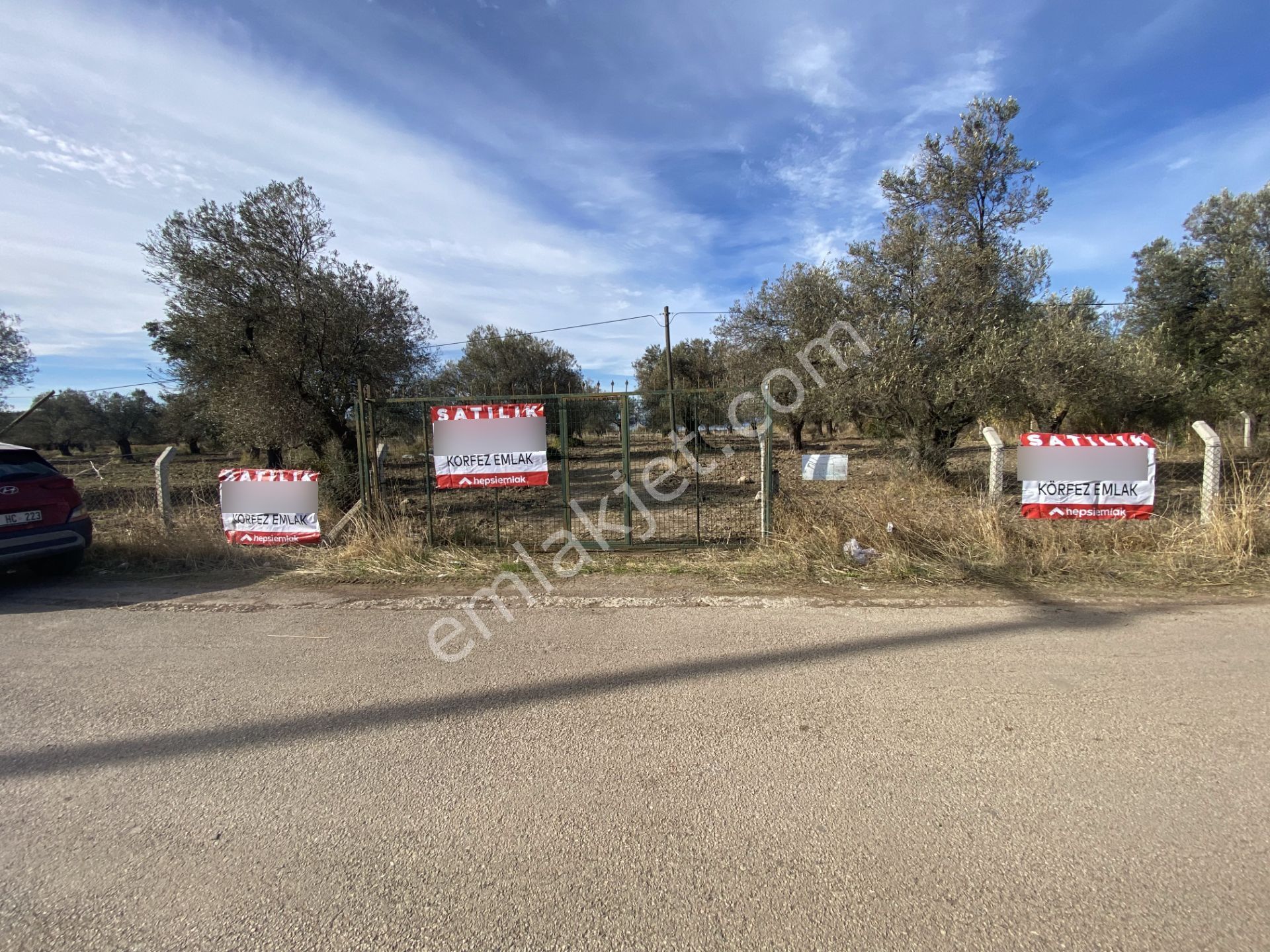 Ayvalık Sakarya Da Satılık 18 Donum Zeytinlik.yola Cepheli. - Görsel 17