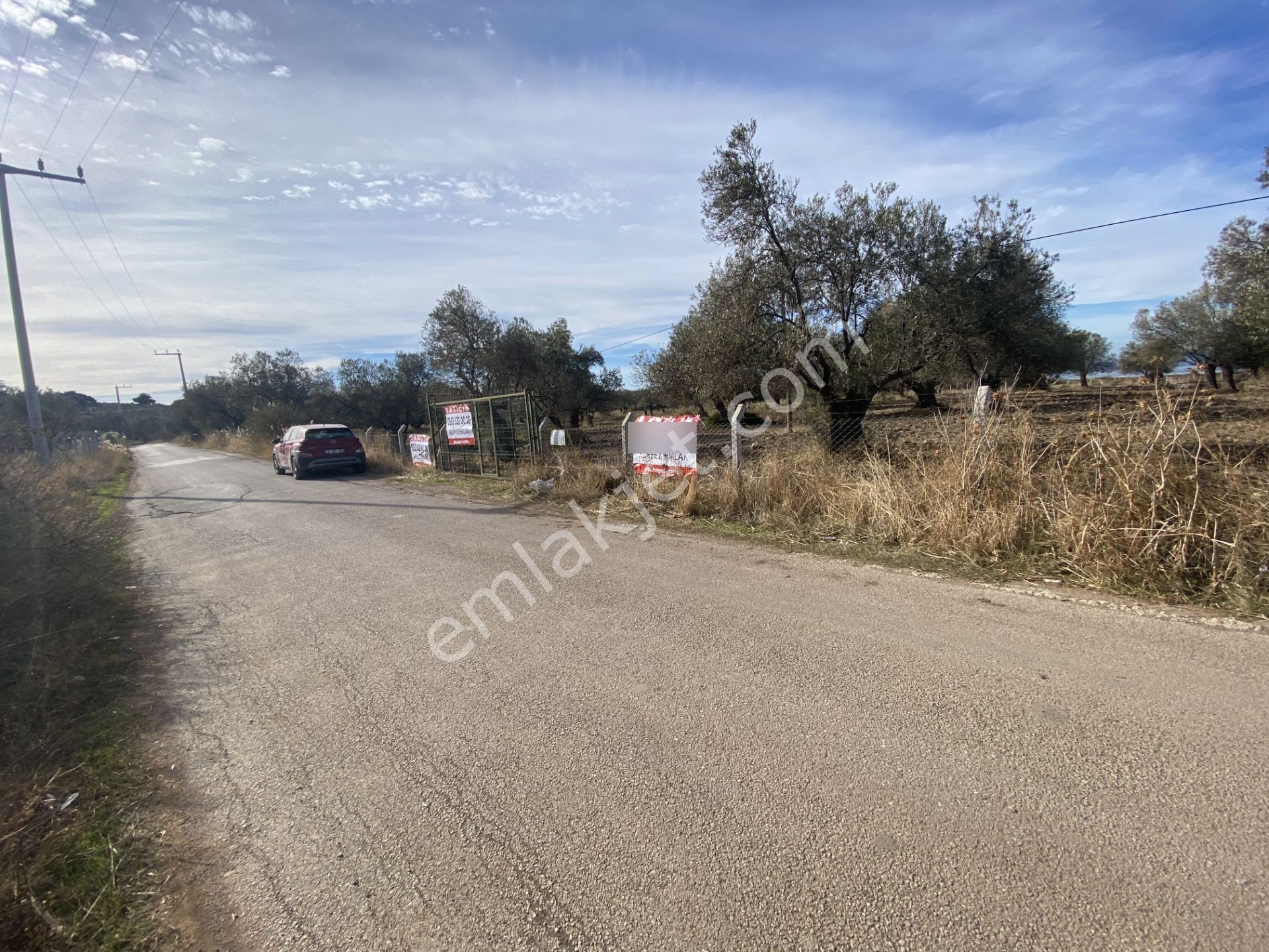 Ayvalık Sakarya Da Satılık 18 Donum Zeytinlik.yola Cepheli. - Görsel 15