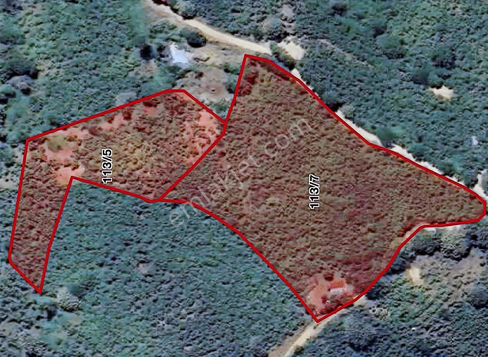 Yön Group'tan Ahmedı'ye De Satılık Fındık Bahçesi - Görsel 9