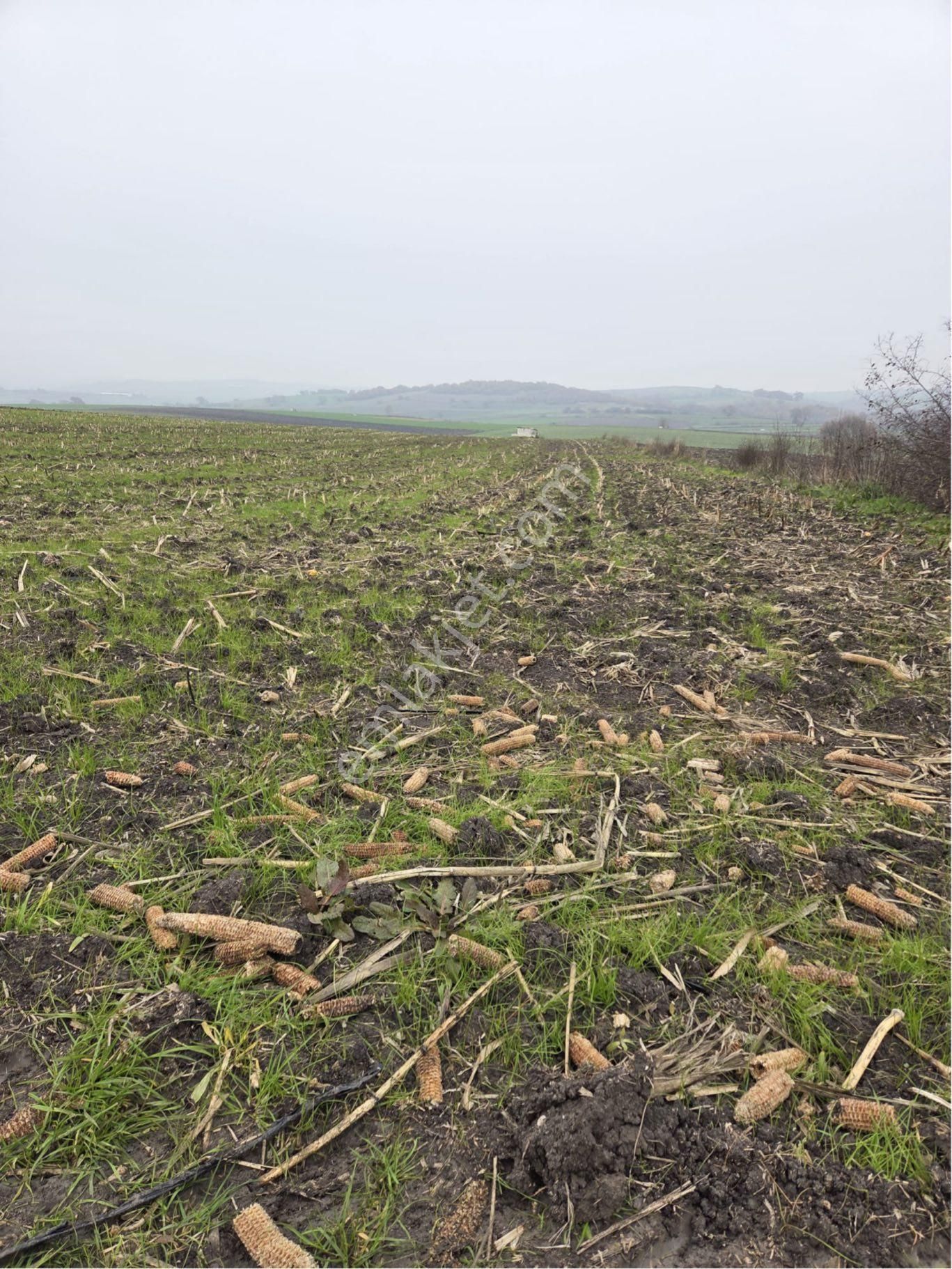 🔴burcu’dan Manyas Çakırca Köyünde Satılık Sulanabilir Arazi🔴 - Görsel 6