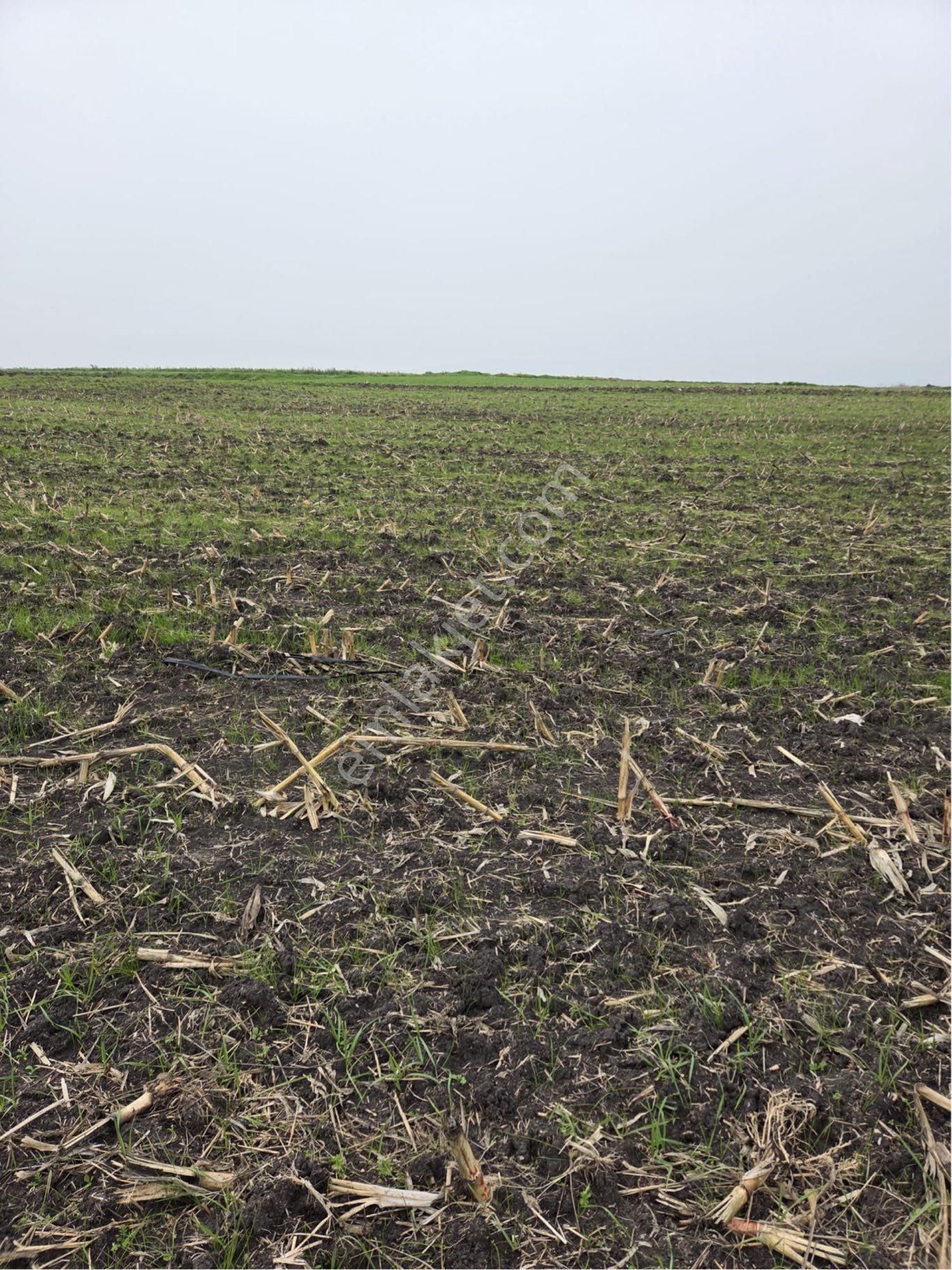 🔴burcu’dan Manyas Çakırca Köyünde Satılık Sulanabilir Arazi🔴 - Görsel 8