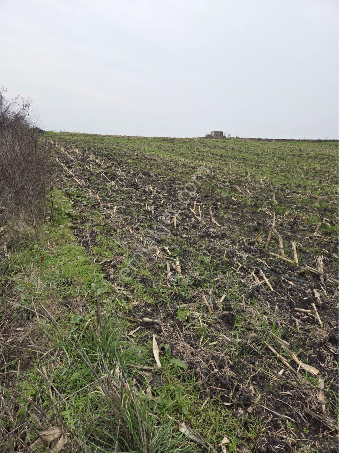 🔴burcu’dan Manyas Çakırca Köyünde Satılık Sulanabilir Arazi🔴 - Görsel 5