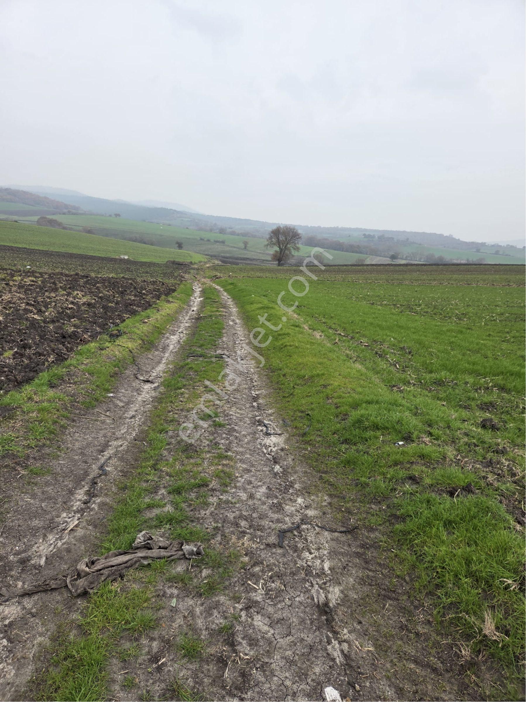 🔴burcu’dan Manyas Çakırca Köyünde Satılık Sulanabilir Arazi🔴 - Görsel 20