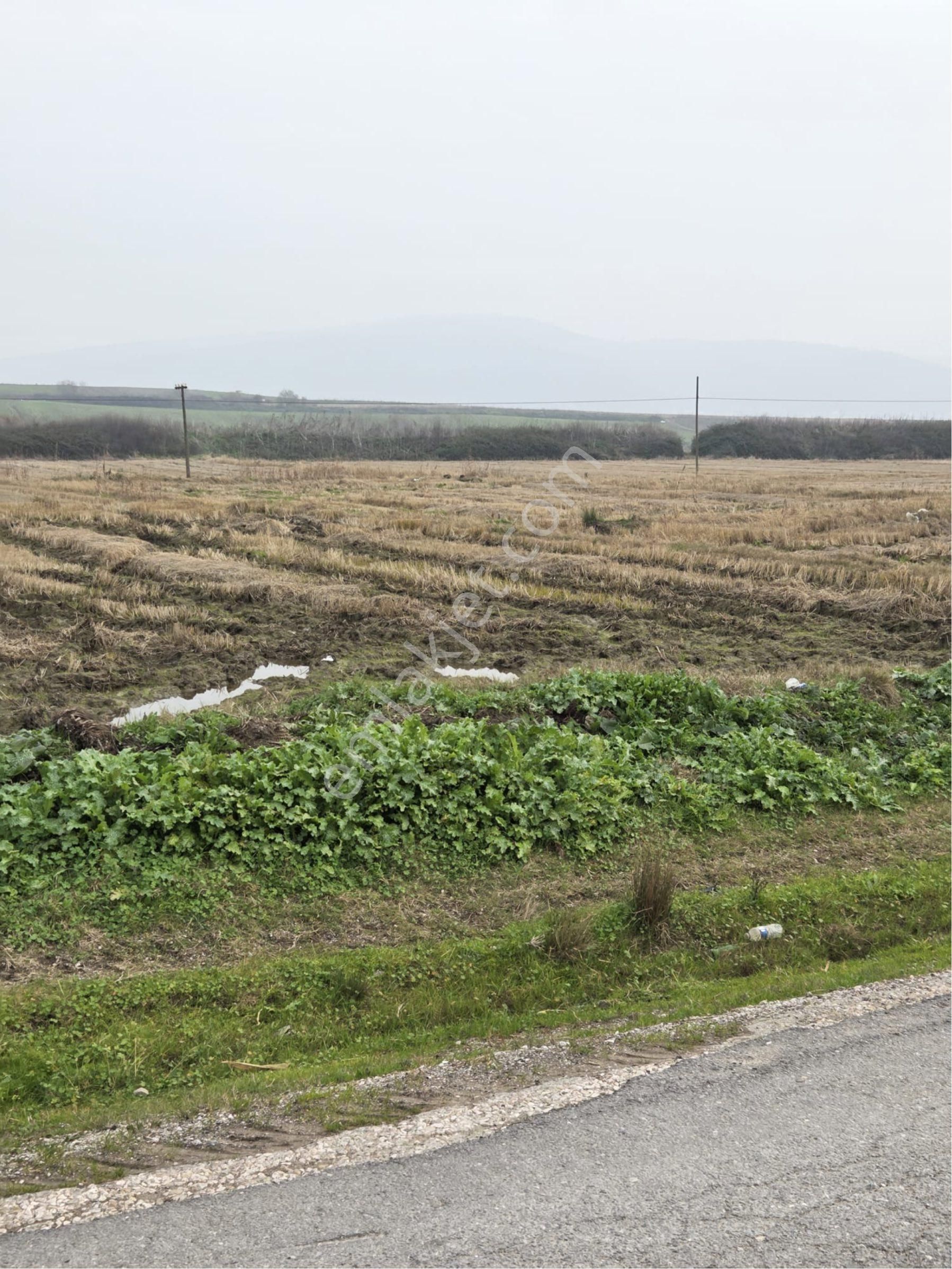 🔴burcu’dan Manyas Çakırca Köyünde Satılık Sulanabilir Arazi🔴 - Görsel 24