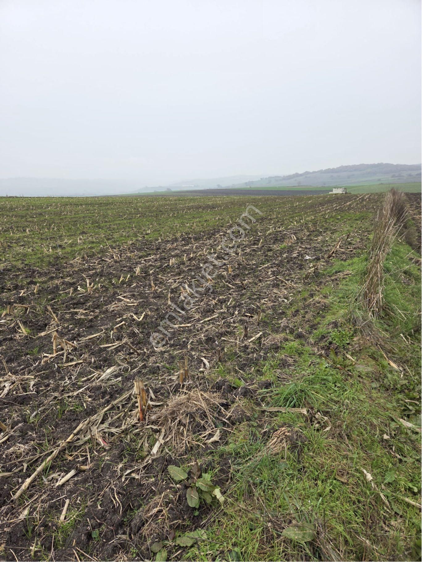 🔴burcu’dan Manyas Çakırca Köyünde Satılık Sulanabilir Arazi🔴 - Görsel 11