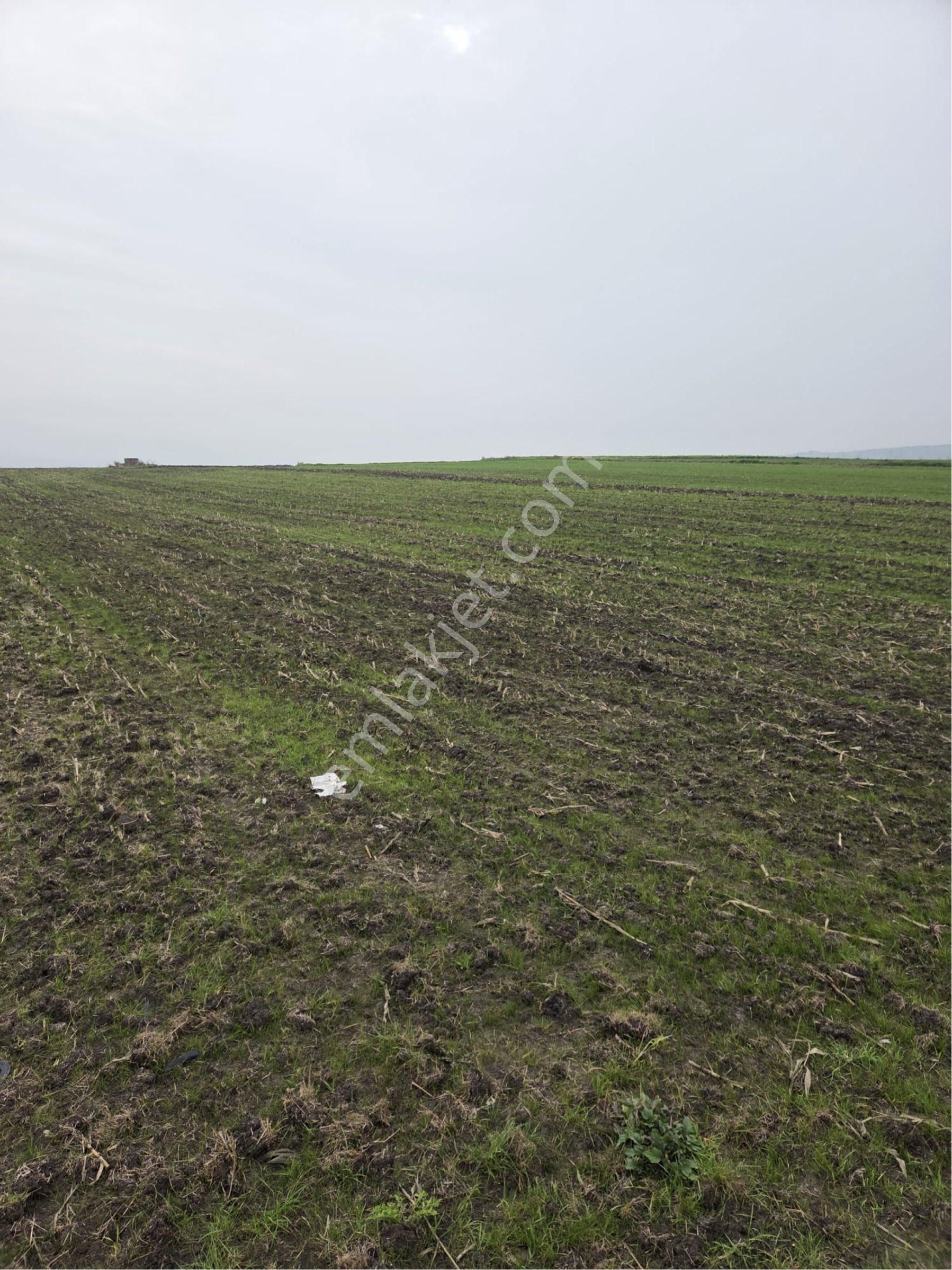 🔴burcu’dan Manyas Çakırca Köyünde Satılık Sulanabilir Arazi🔴 - Görsel 14