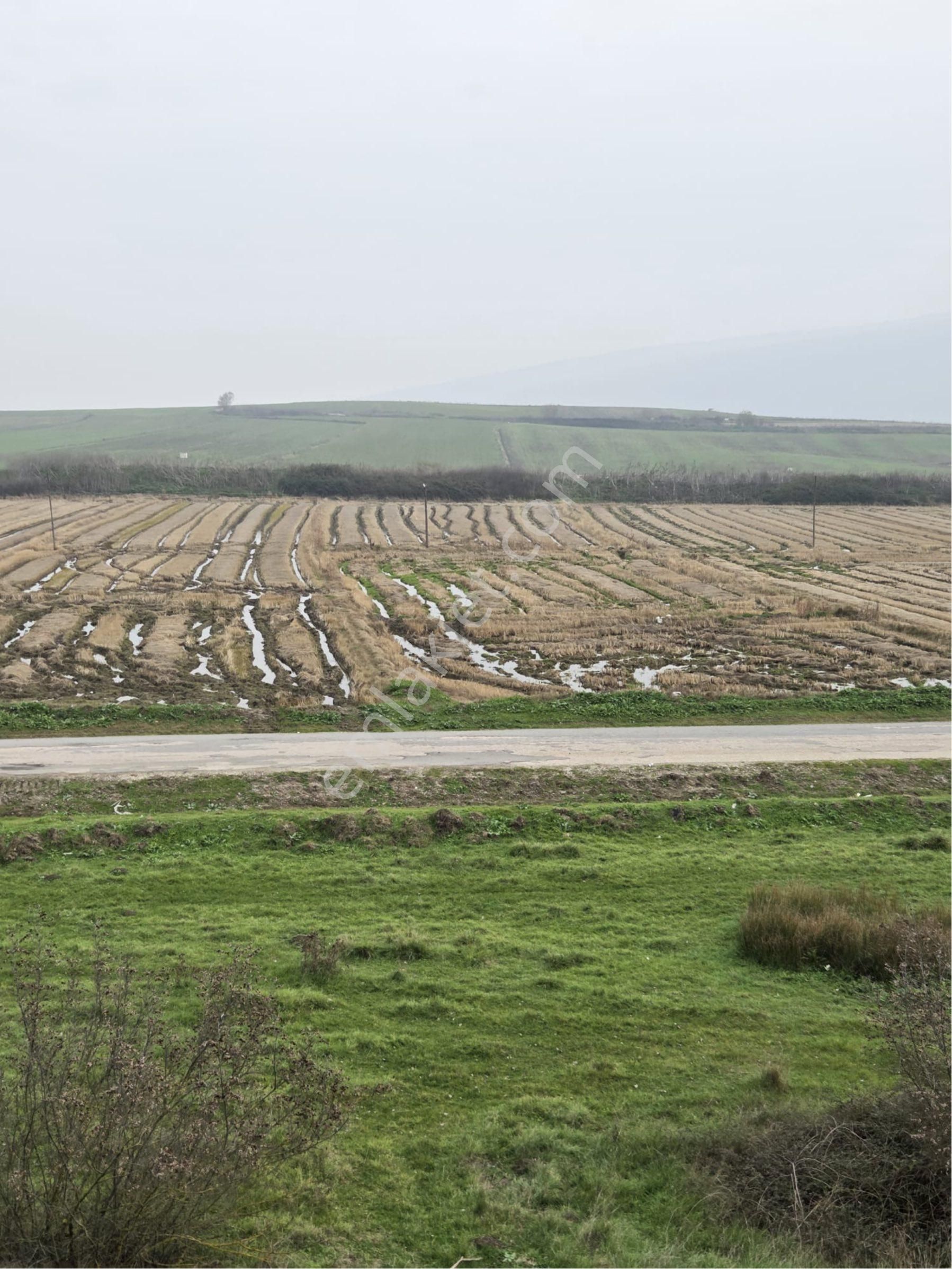 🔴burcu’dan Manyas Çakırca Köyünde Satılık Sulanabilir Arazi🔴 - Görsel 25