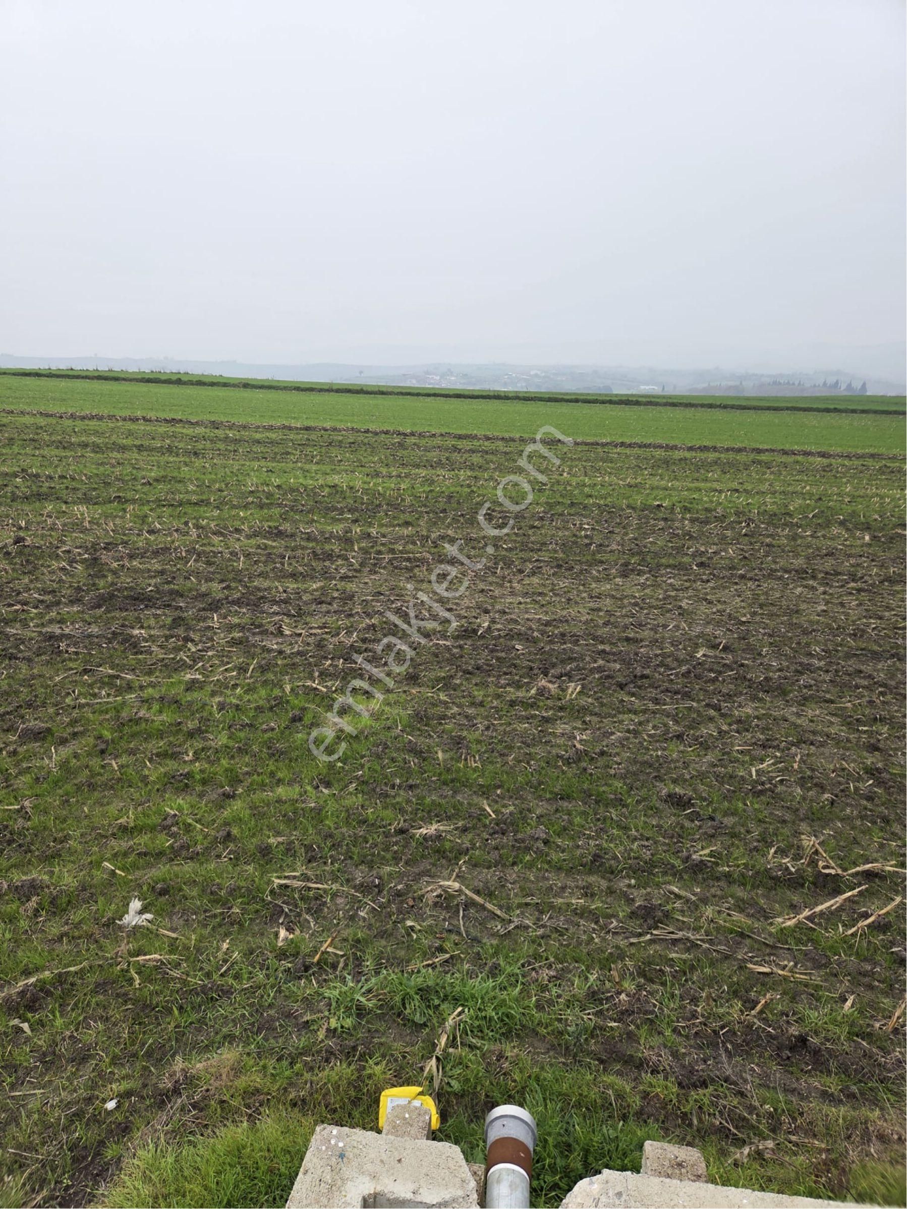 🔴burcu’dan Manyas Çakırca Köyünde Satılık Sulanabilir Arazi🔴 - Görsel 13