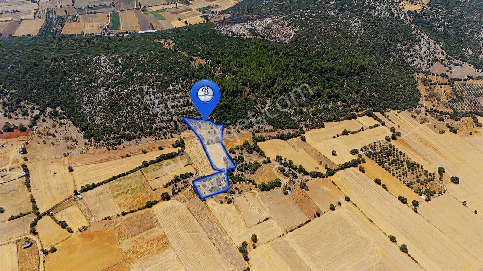 investment listing 14