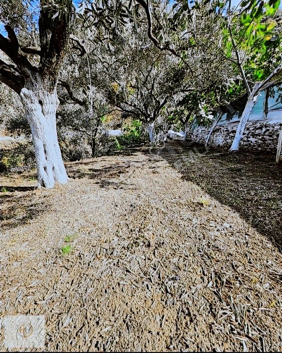 Muhteşem Konum Acil Satılıktır - Görsel 11