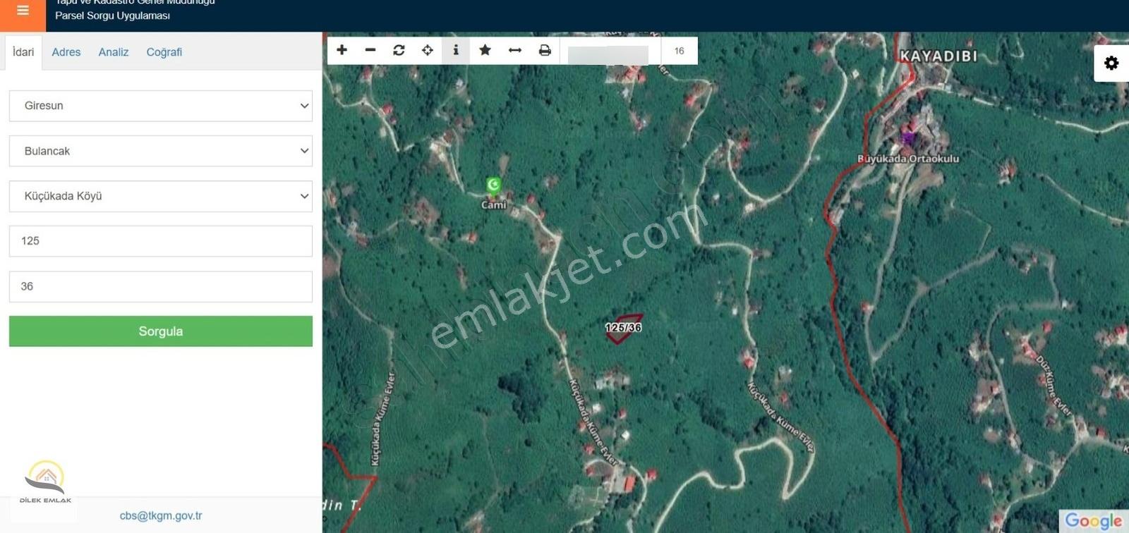 Satılık Fındık Bahçesi 1850m² – Giresun Bulancak Küçükada Köyü - Görsel 2