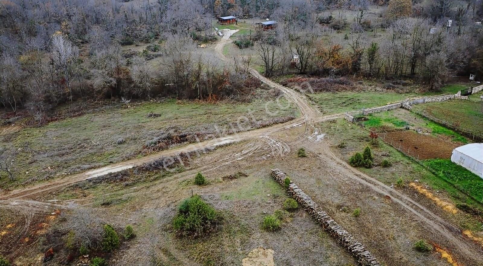 Satılık Gebze Kargalı Köyünde Villa Yapımına Uygun Tarla - Görsel 22