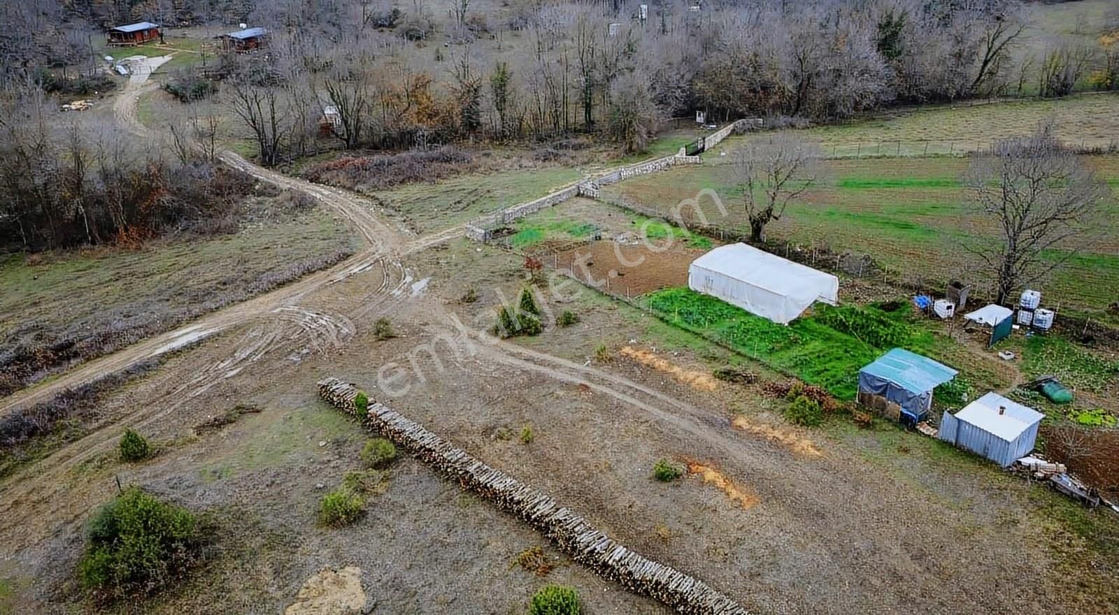 Satılık Gebze Kargalı Köyünde Villa Yapımına Uygun Tarla