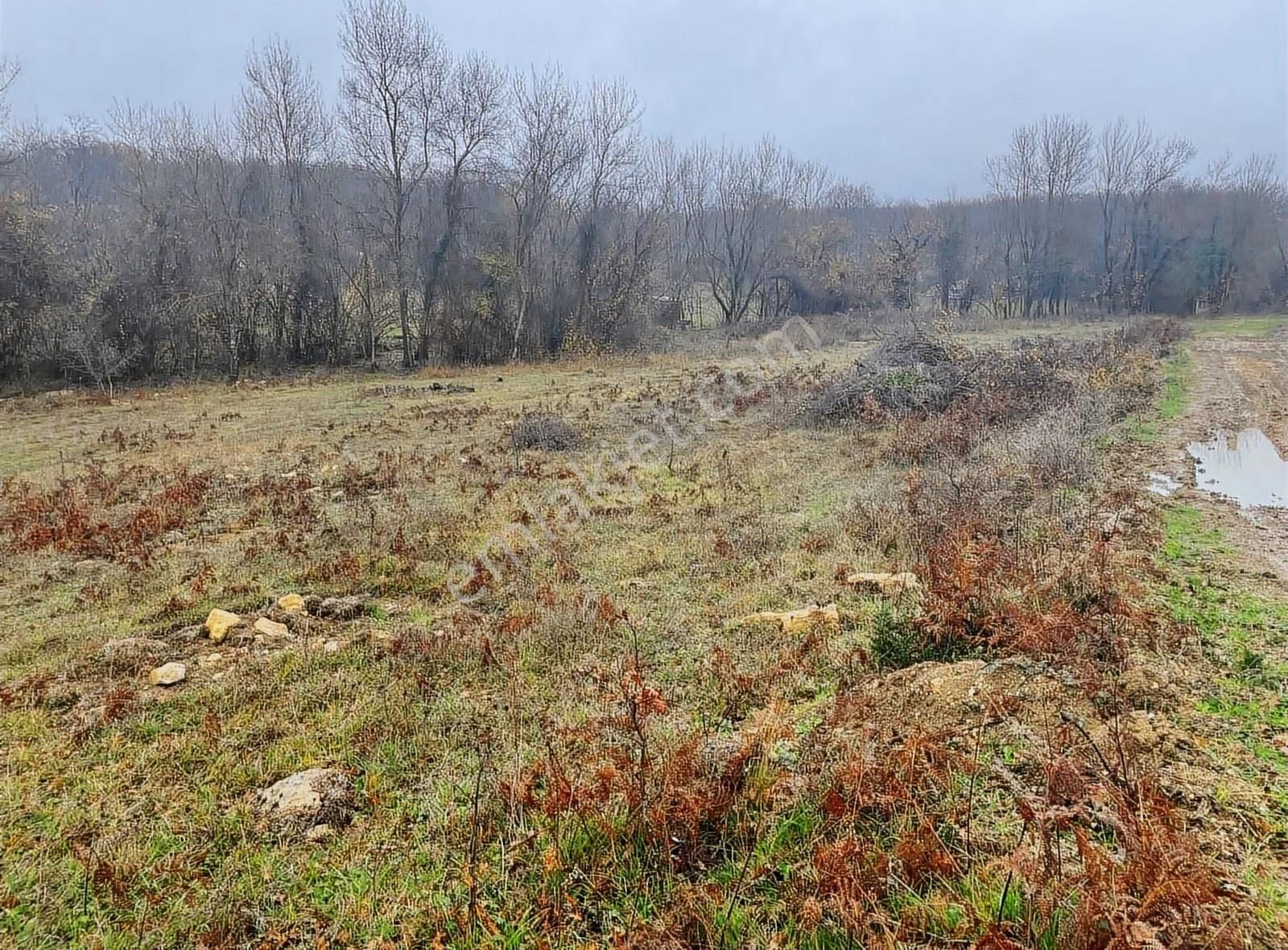 Satılık Gebze Kargalı Köyünde Villa Yapımına Uygun Tarla - Görsel 31
