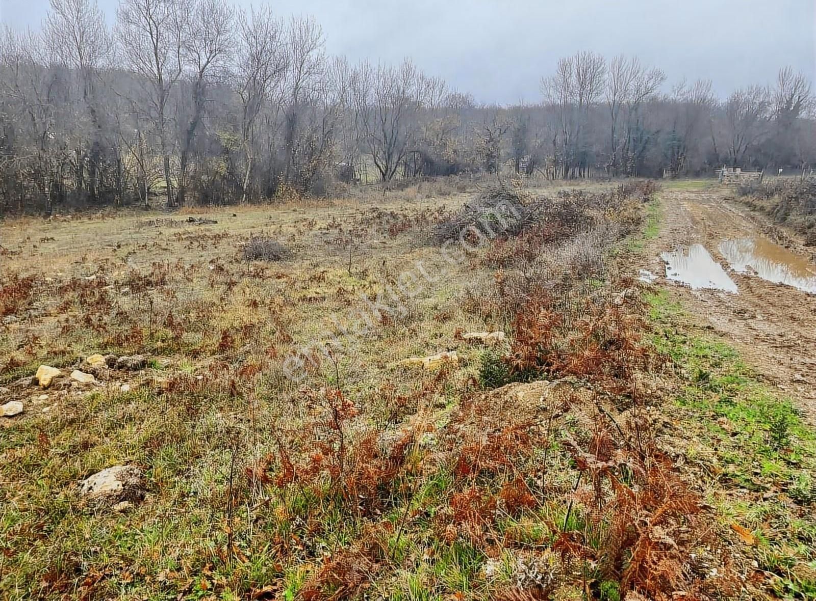 Satılık Gebze Kargalı Köyünde Villa Yapımına Uygun Tarla - Görsel 8