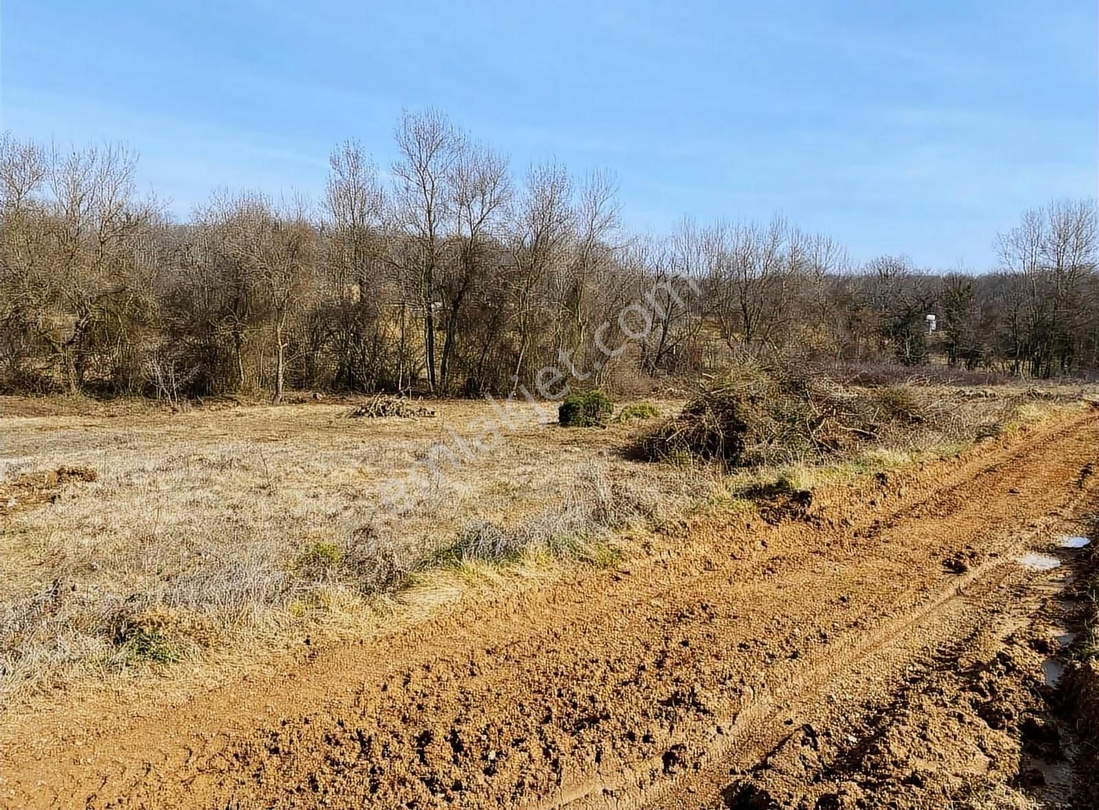 Satılık Gebze Kargalı Köyünde Villa Yapımına Uygun Tarla - Görsel 18