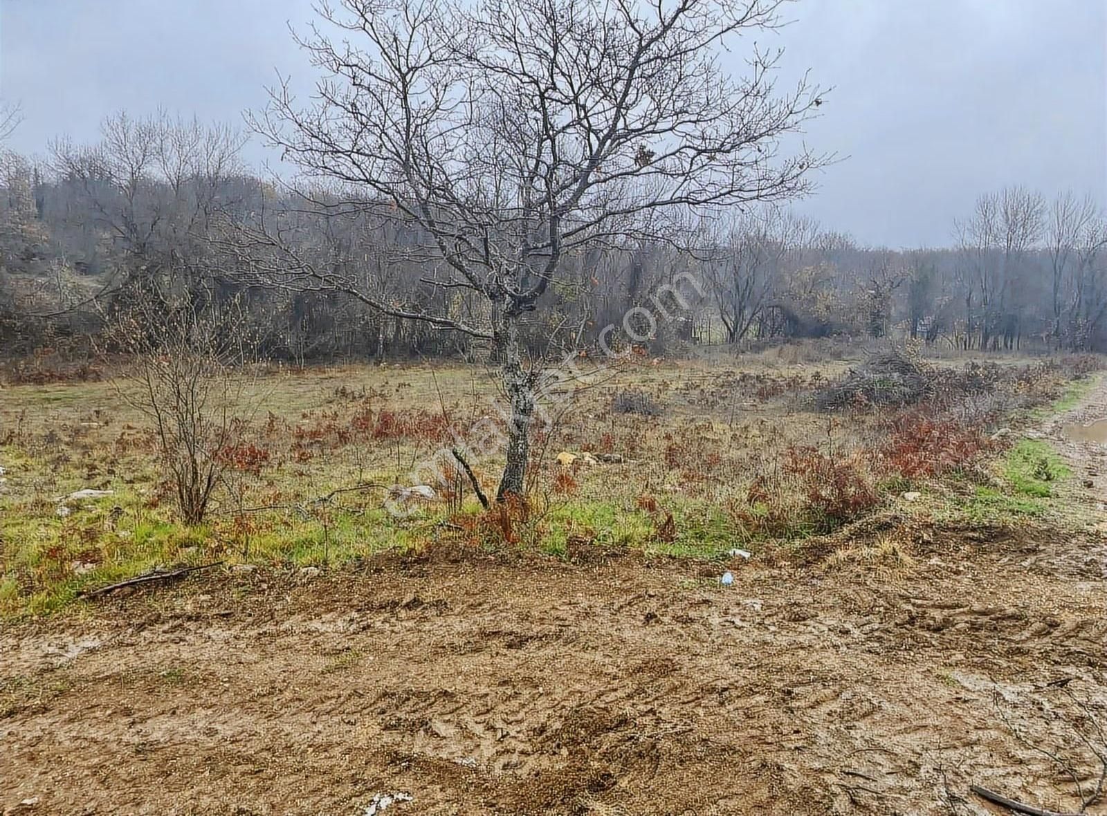 Satılık Gebze Kargalı Köyünde Villa Yapımına Uygun Tarla - Görsel 9